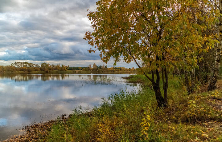 И снова Осень  