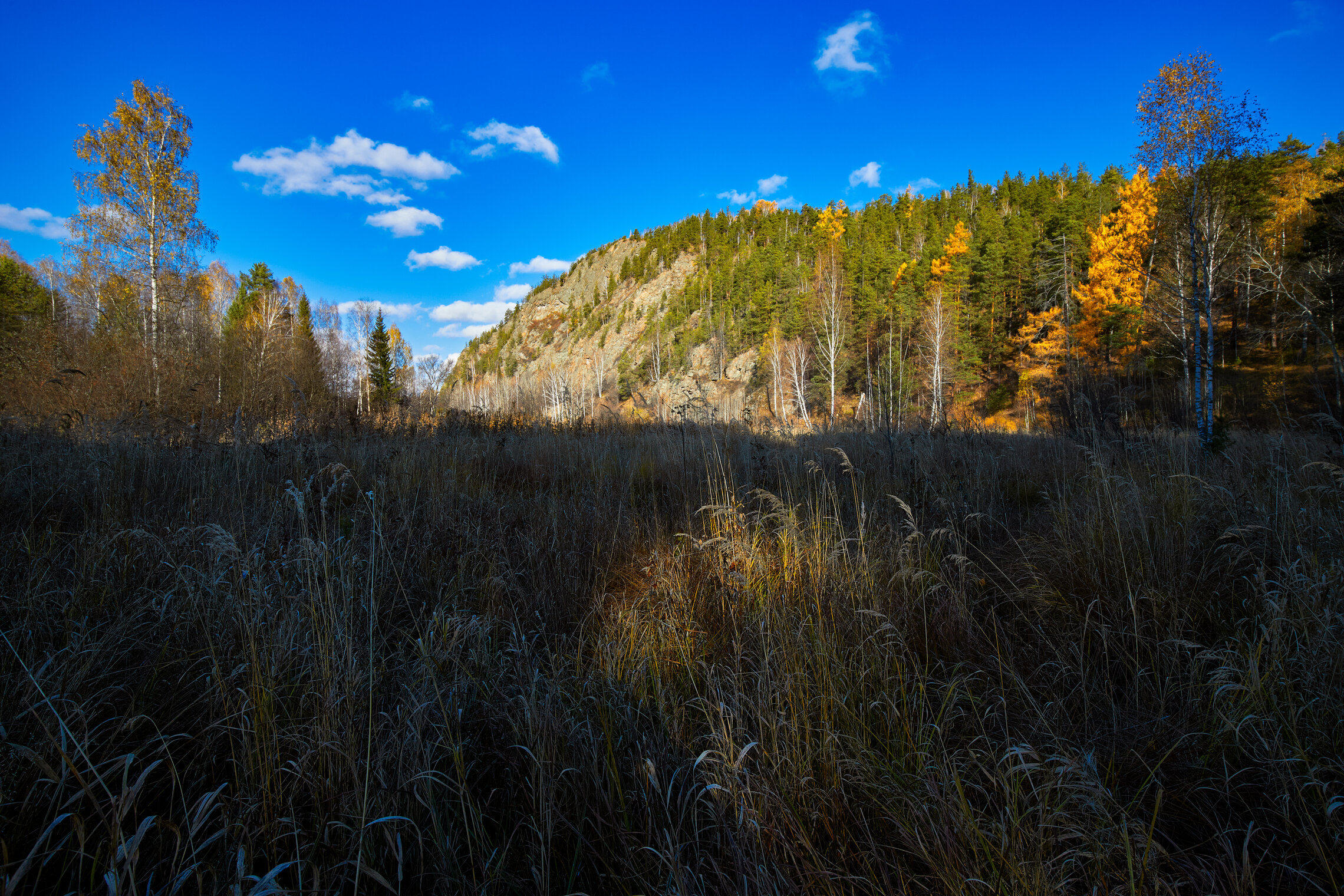 Цветное утро  октября.