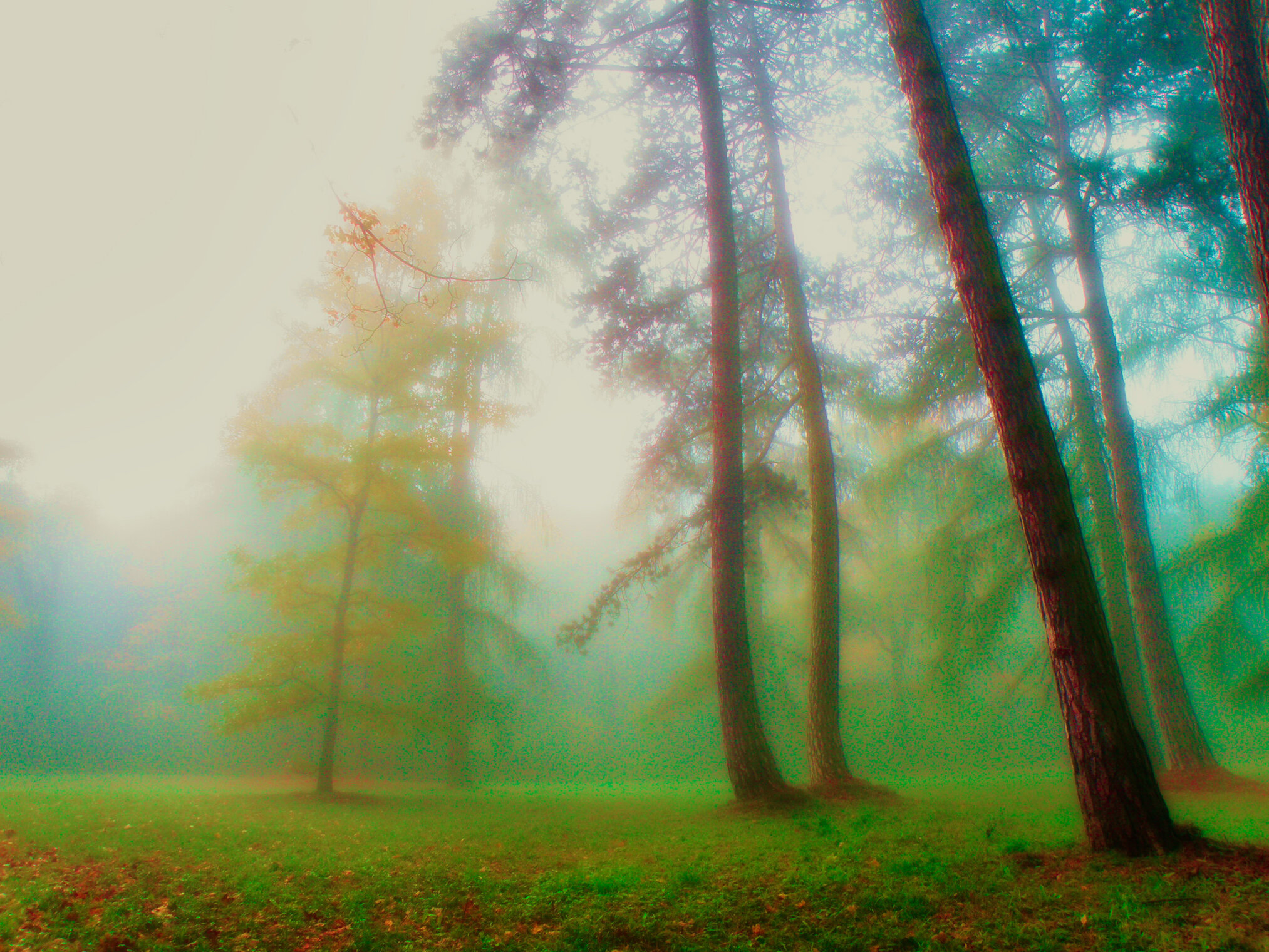 туман, осень