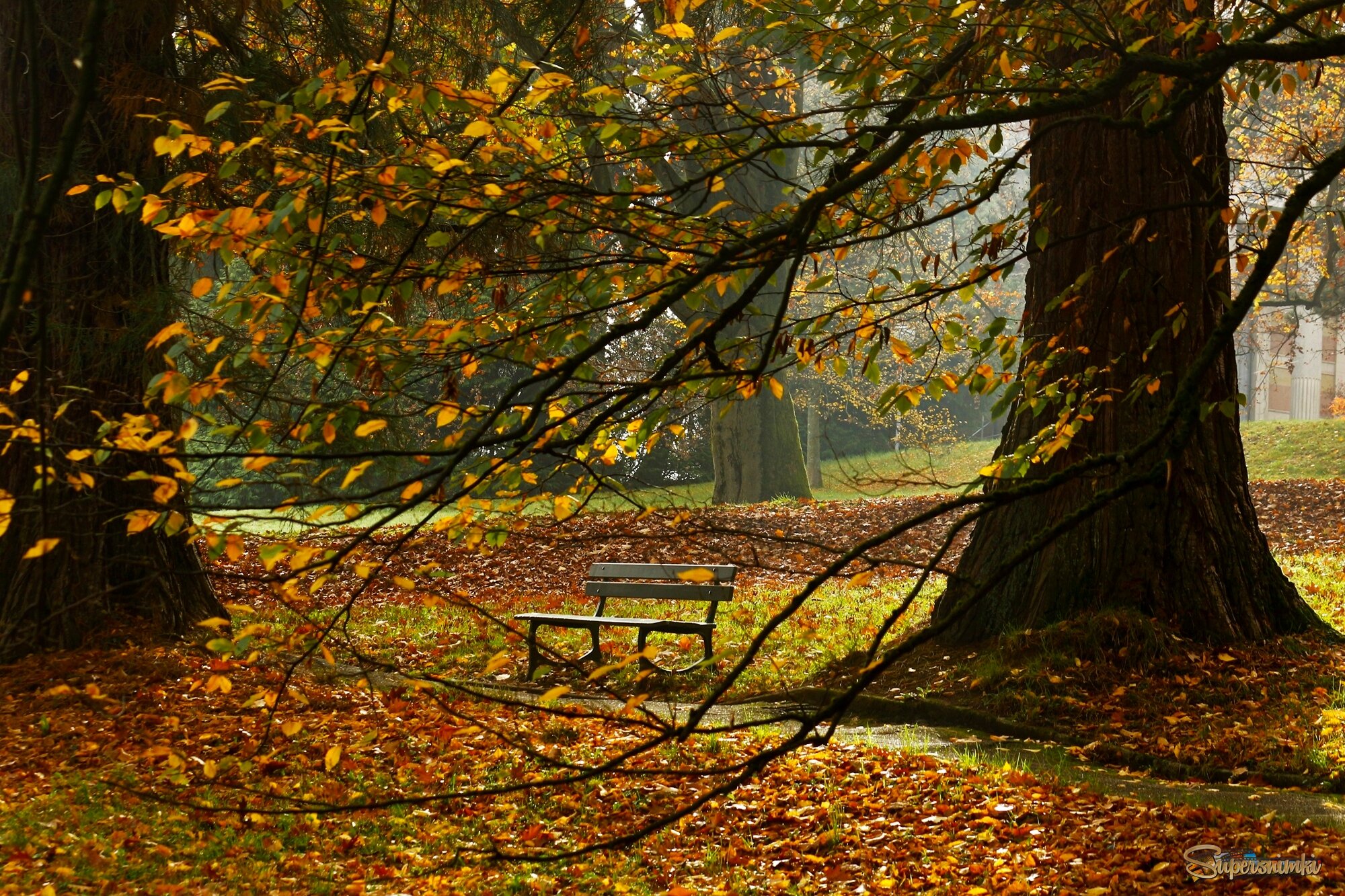 Осенняя скамейка