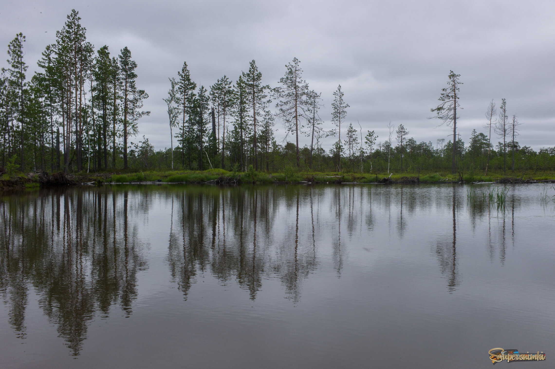Большое Васюганское болото***