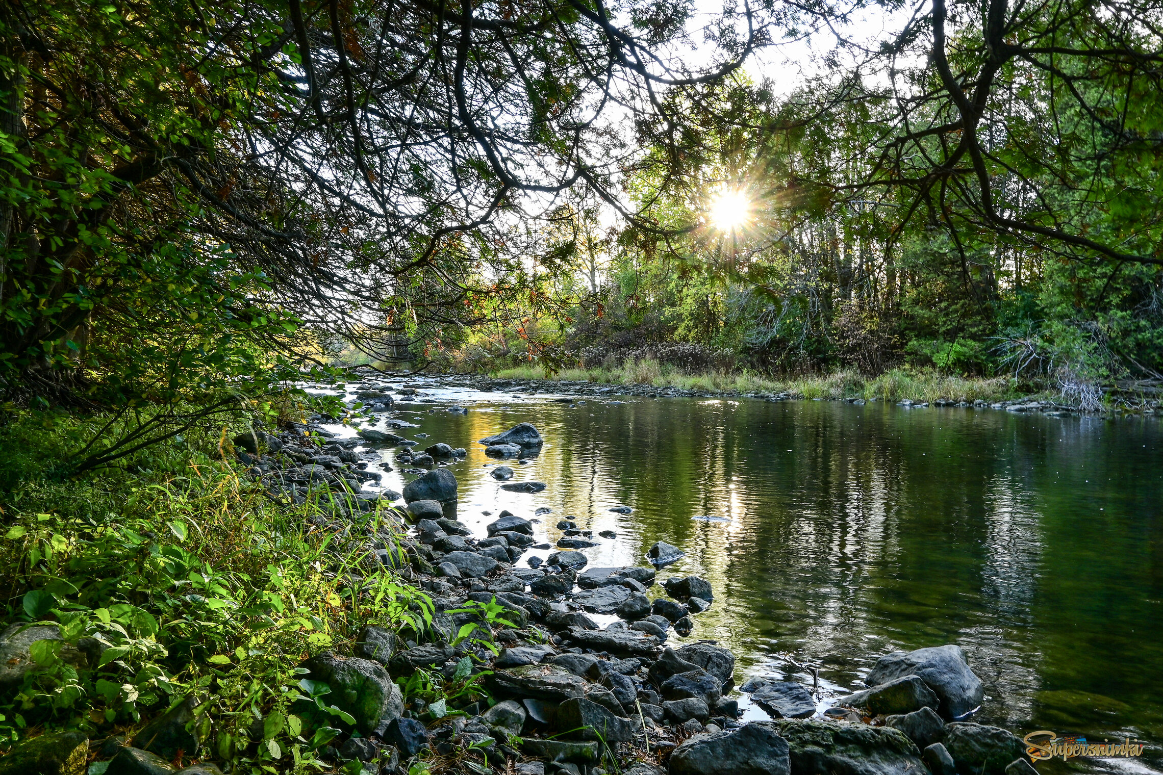 Крепки всё ещё зеленя.