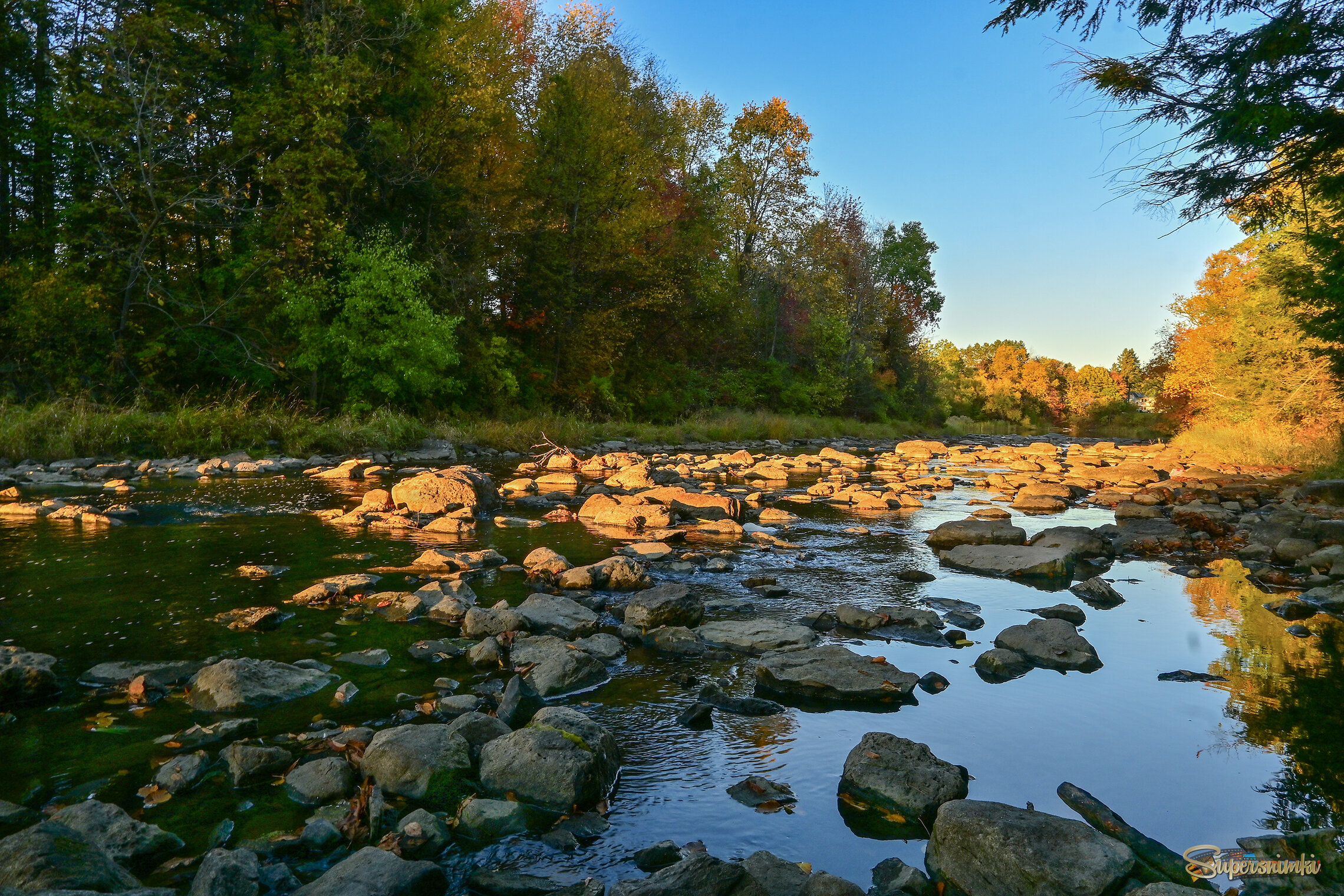 Лучик пробился