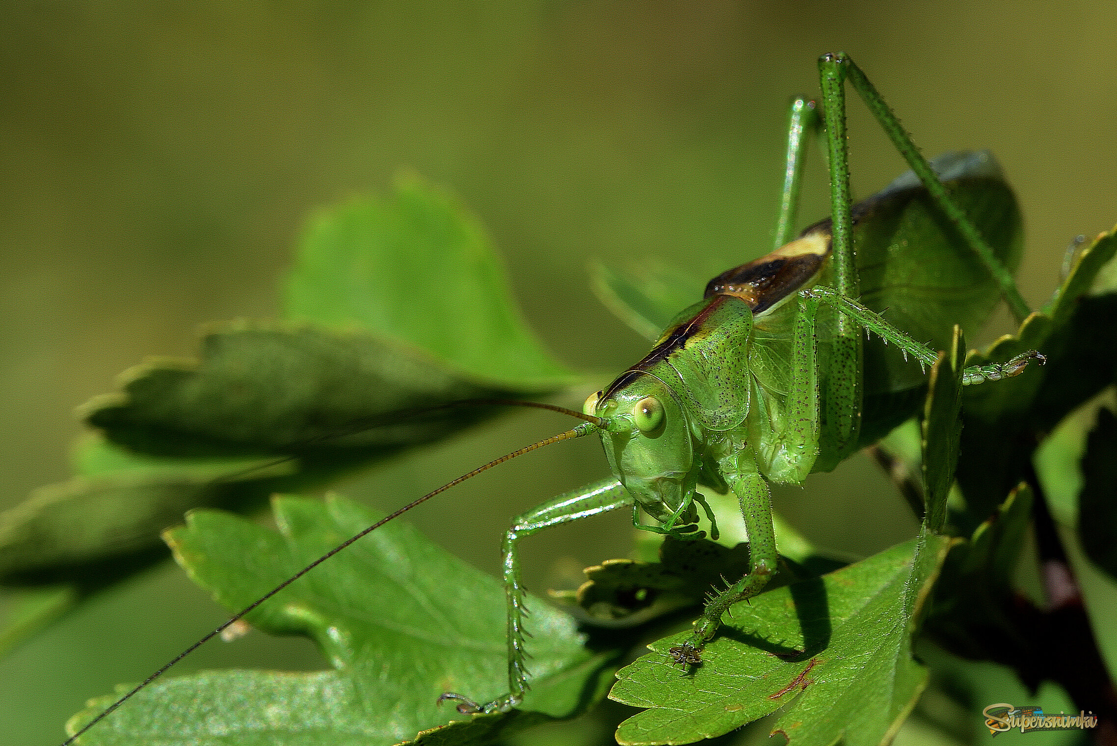 68f38ff76e1d6a6c03594932