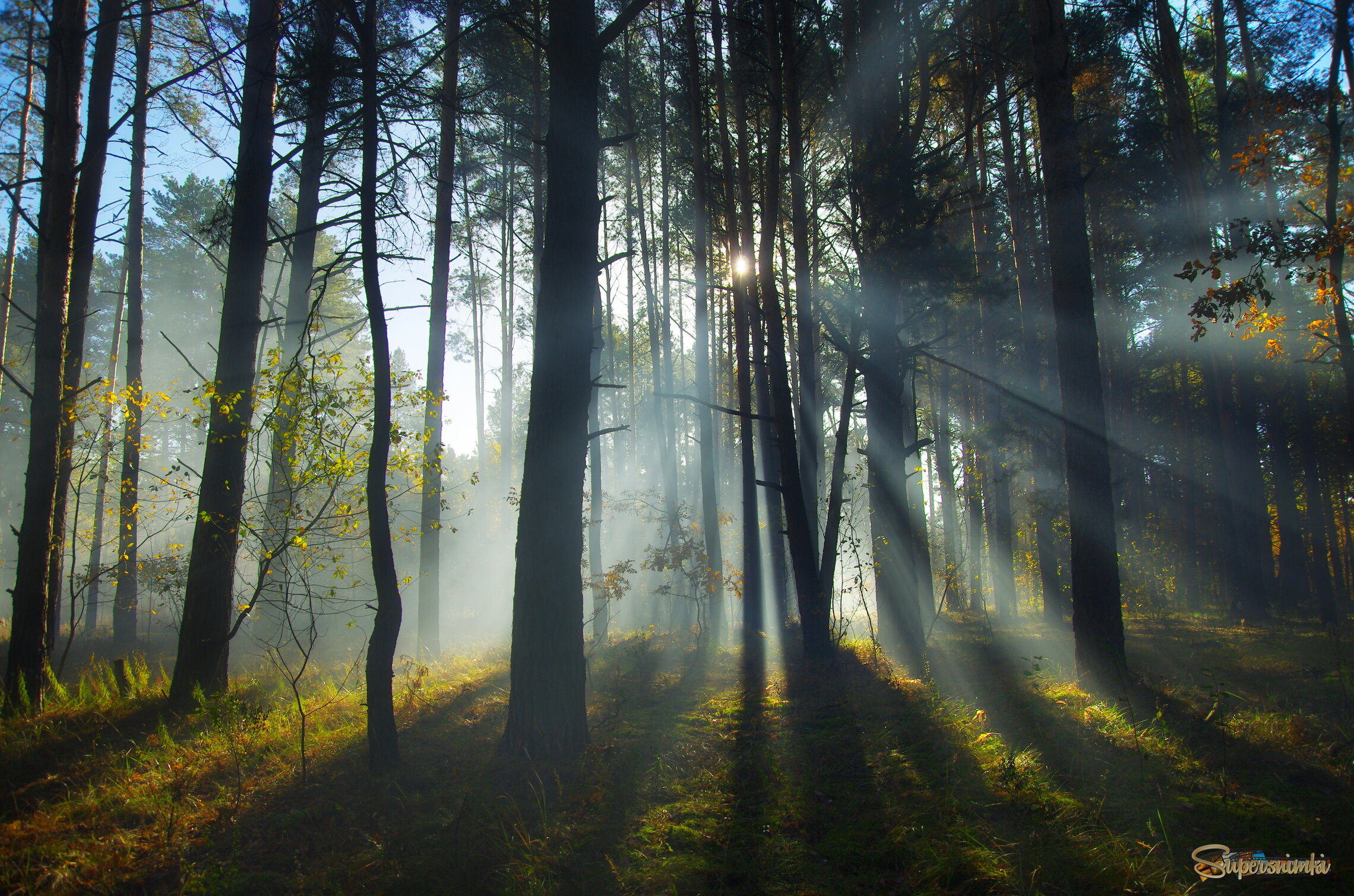 Утренний пейзаж