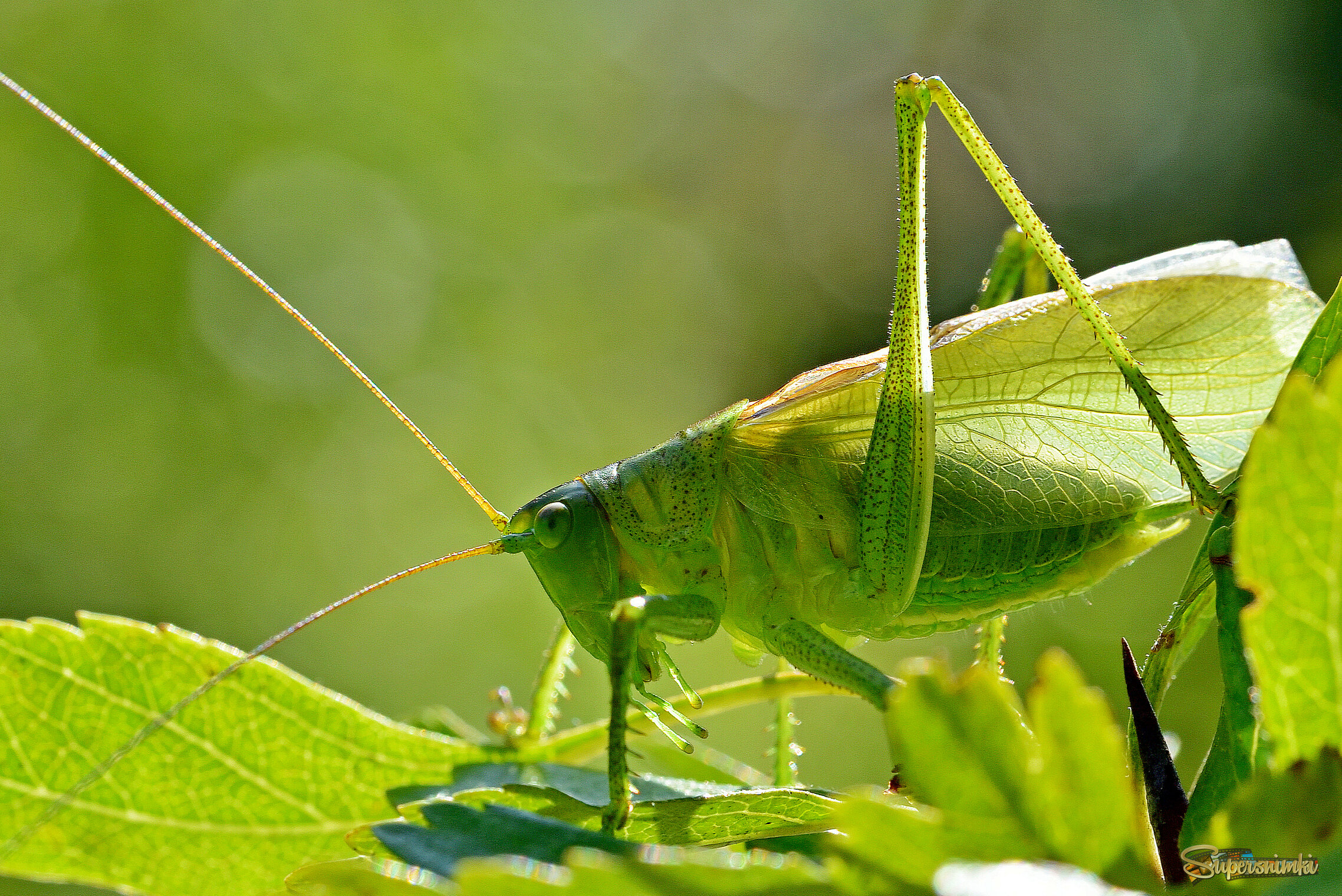 68f4985eec02f6a110594935