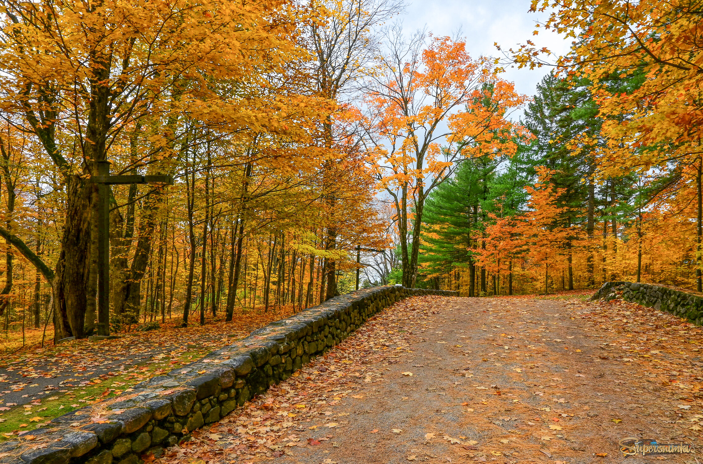 Навстречу зелёненькому