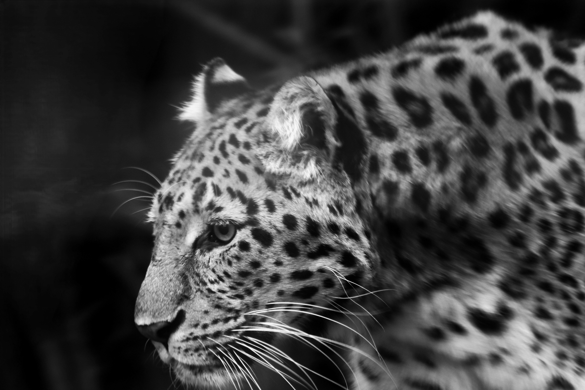 Добыча рядом