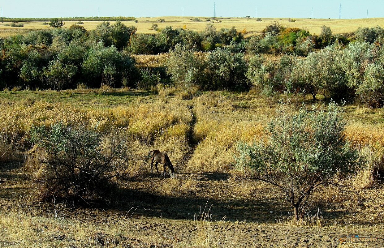 Осень в пригороде