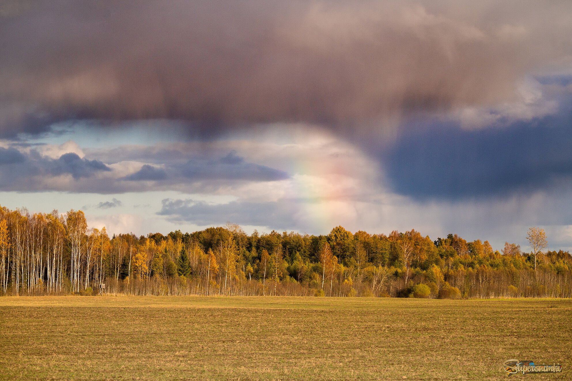 68f4a639928816e679594933