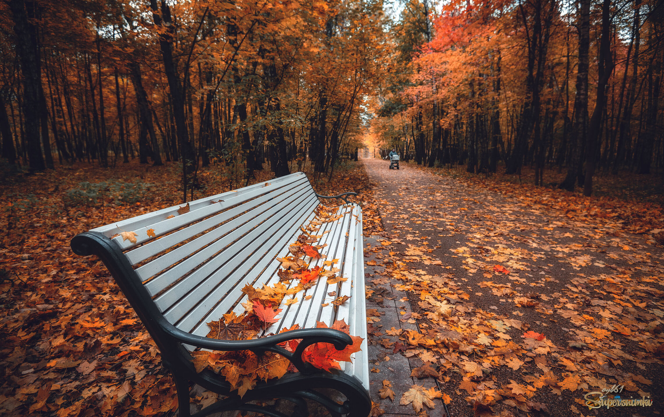 Хмурый день осени