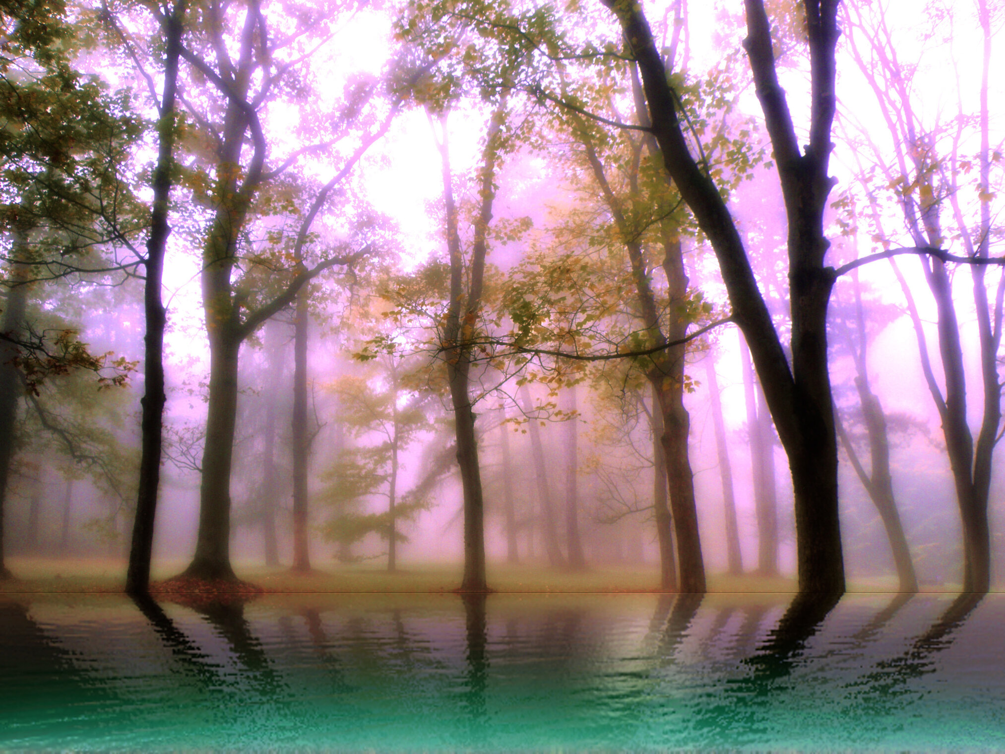 Осенние туманы.