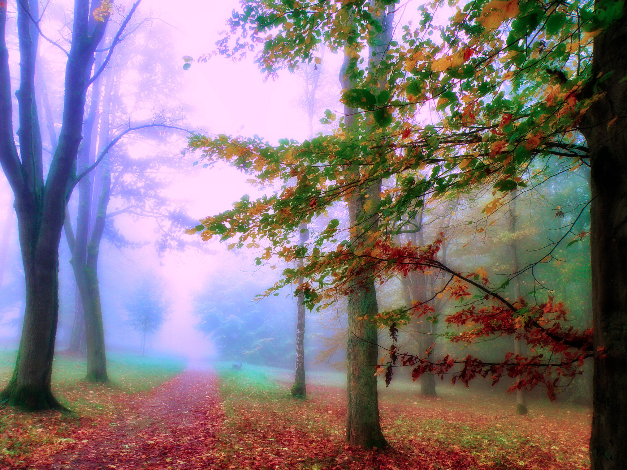 Осенние туманы.