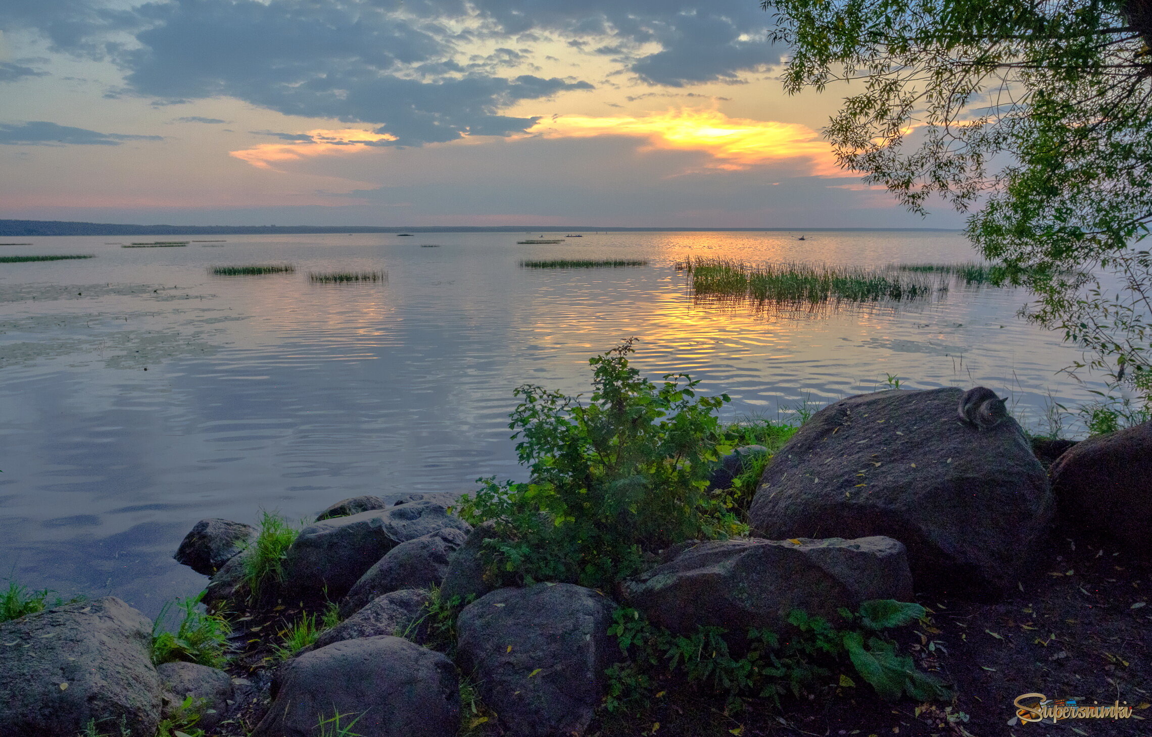 Вечерний этюд с котом на камне