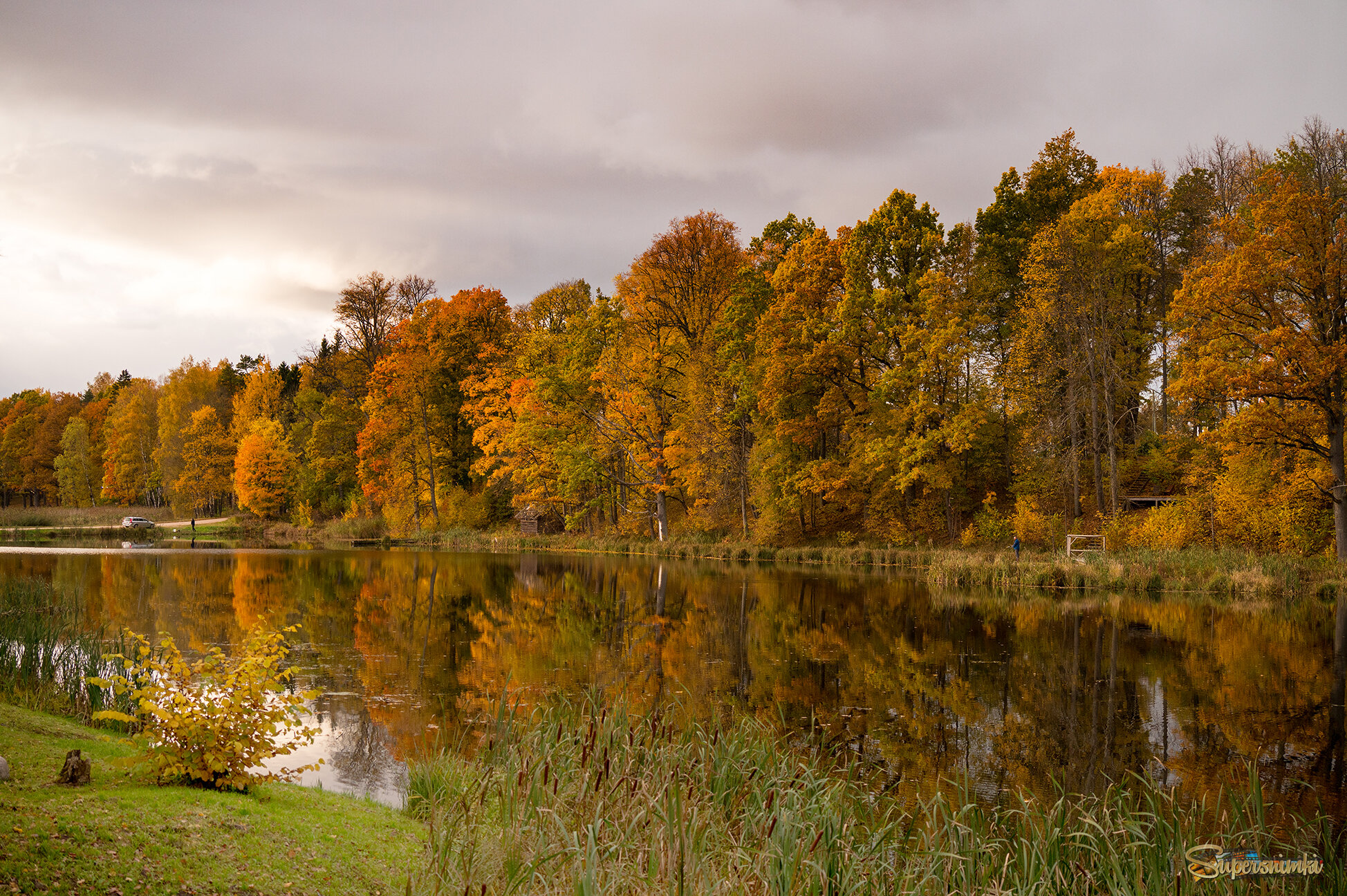 68f5e0ea1dc16dd542594933