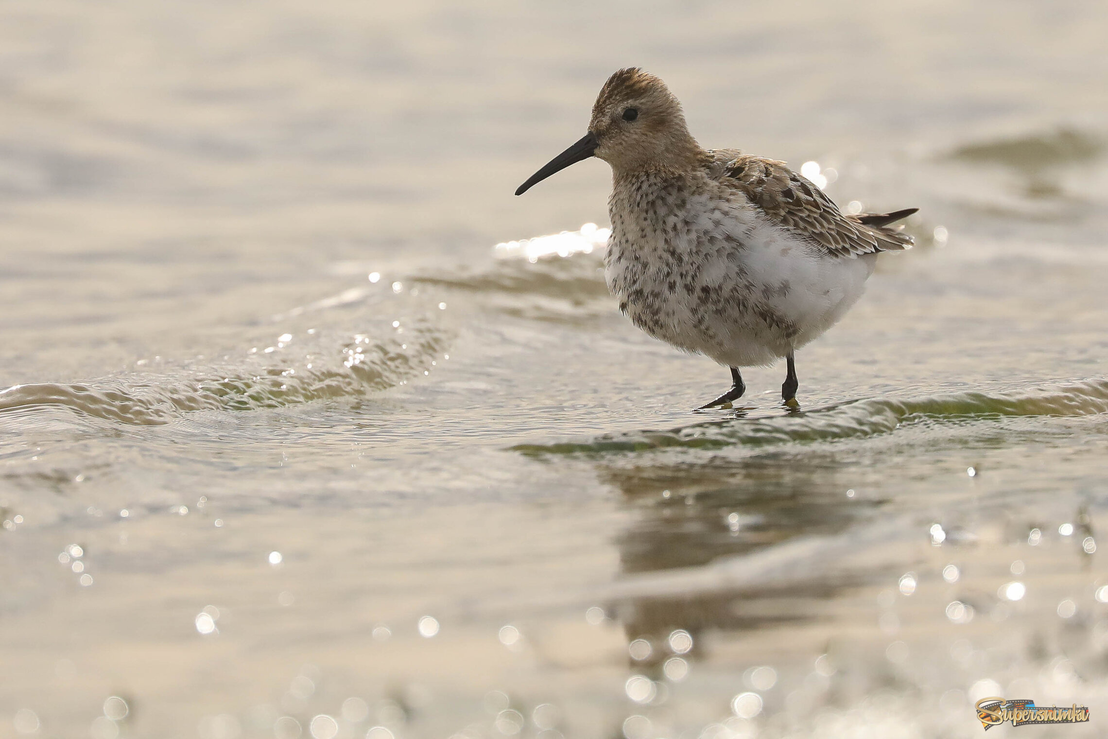А волны бьются...
