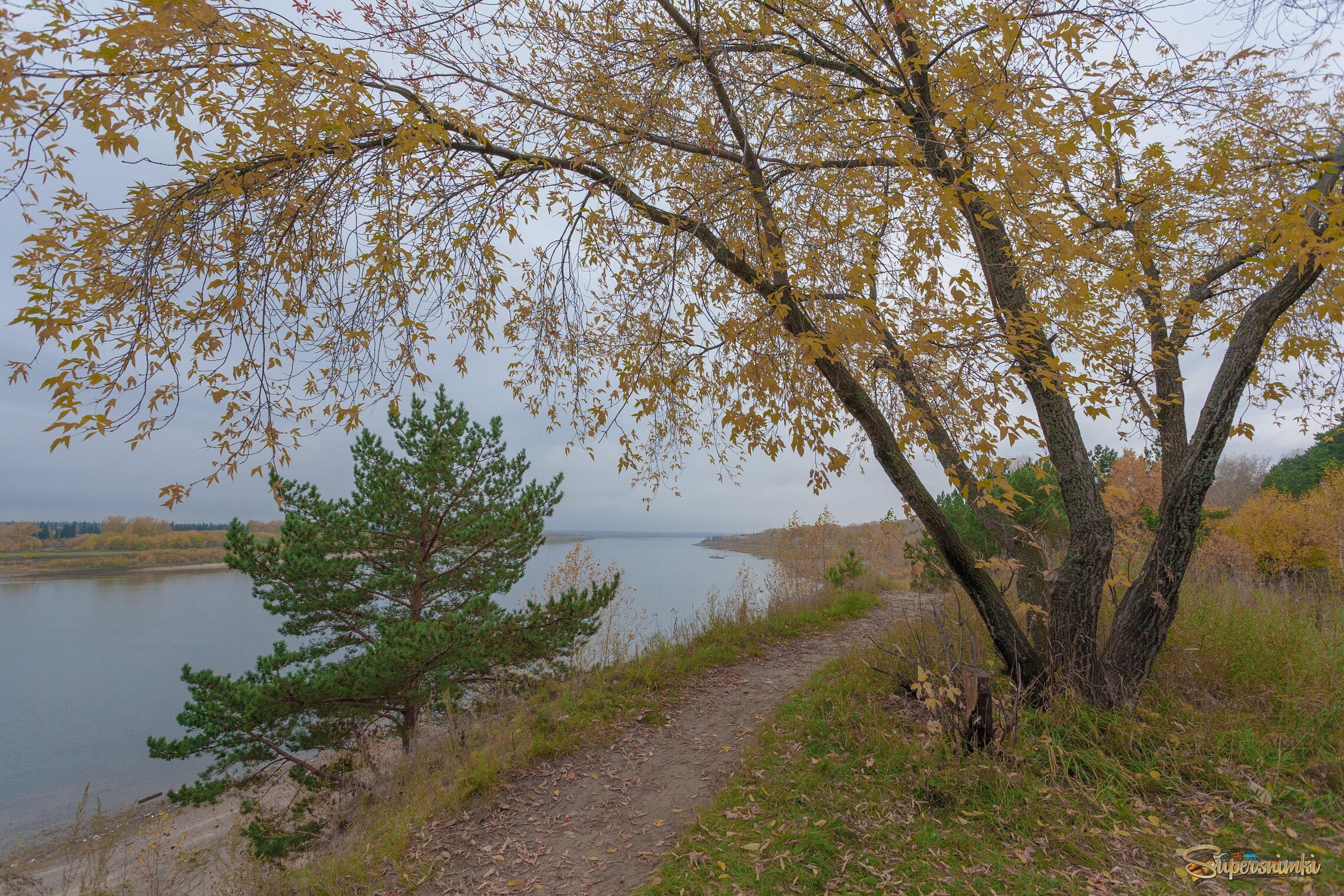 Грусть осени