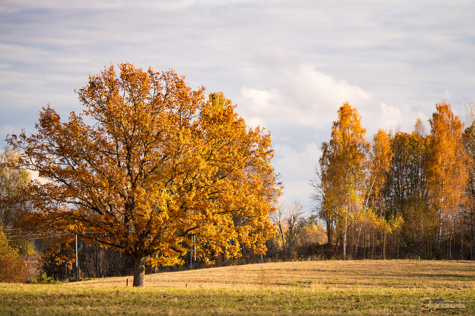 68f64d0fd2607d0fef594932