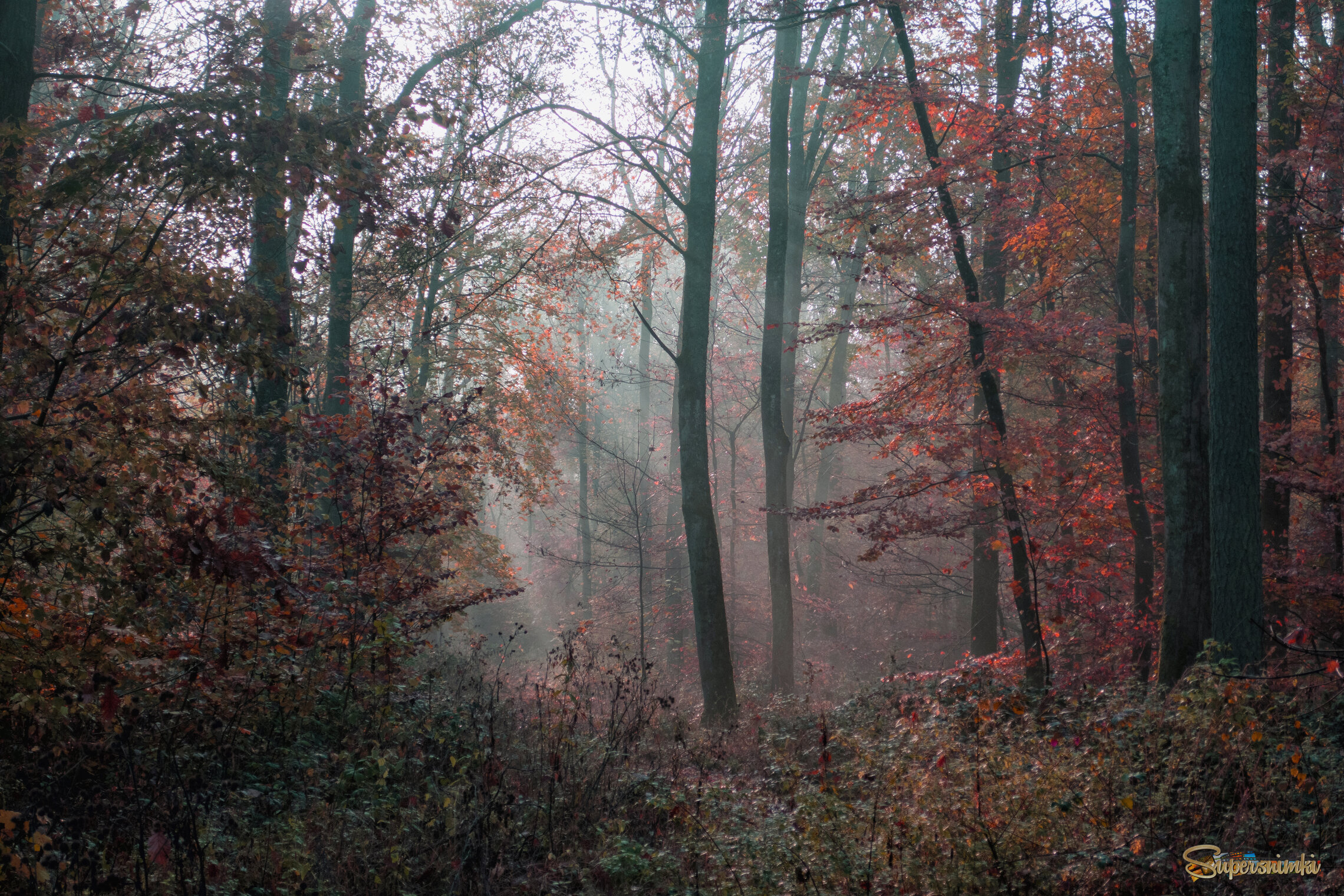 68f563f7b26c4acdba594932