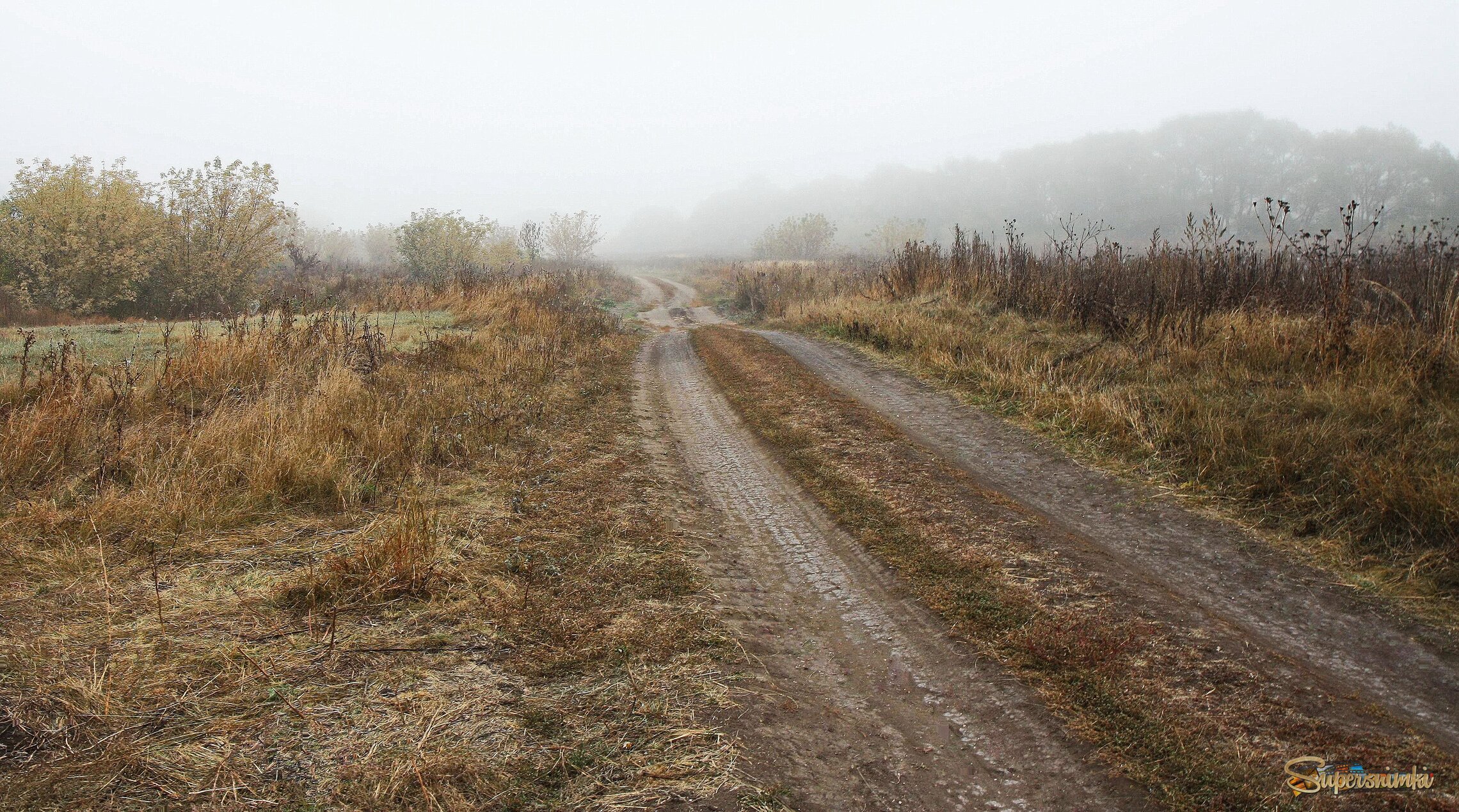 Осенняя дорога