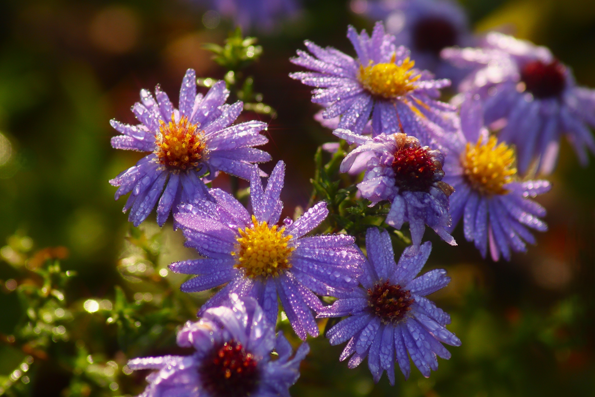 Доброе утро