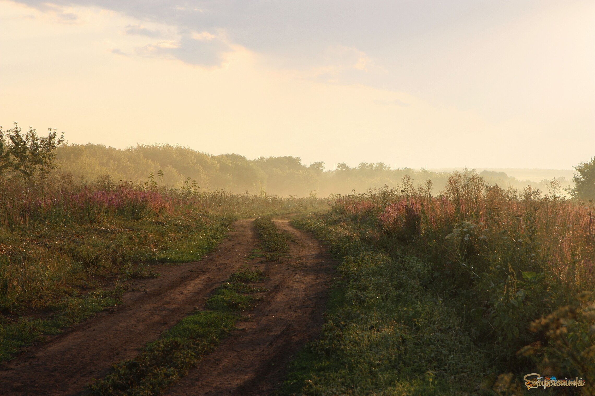 Лето, туман