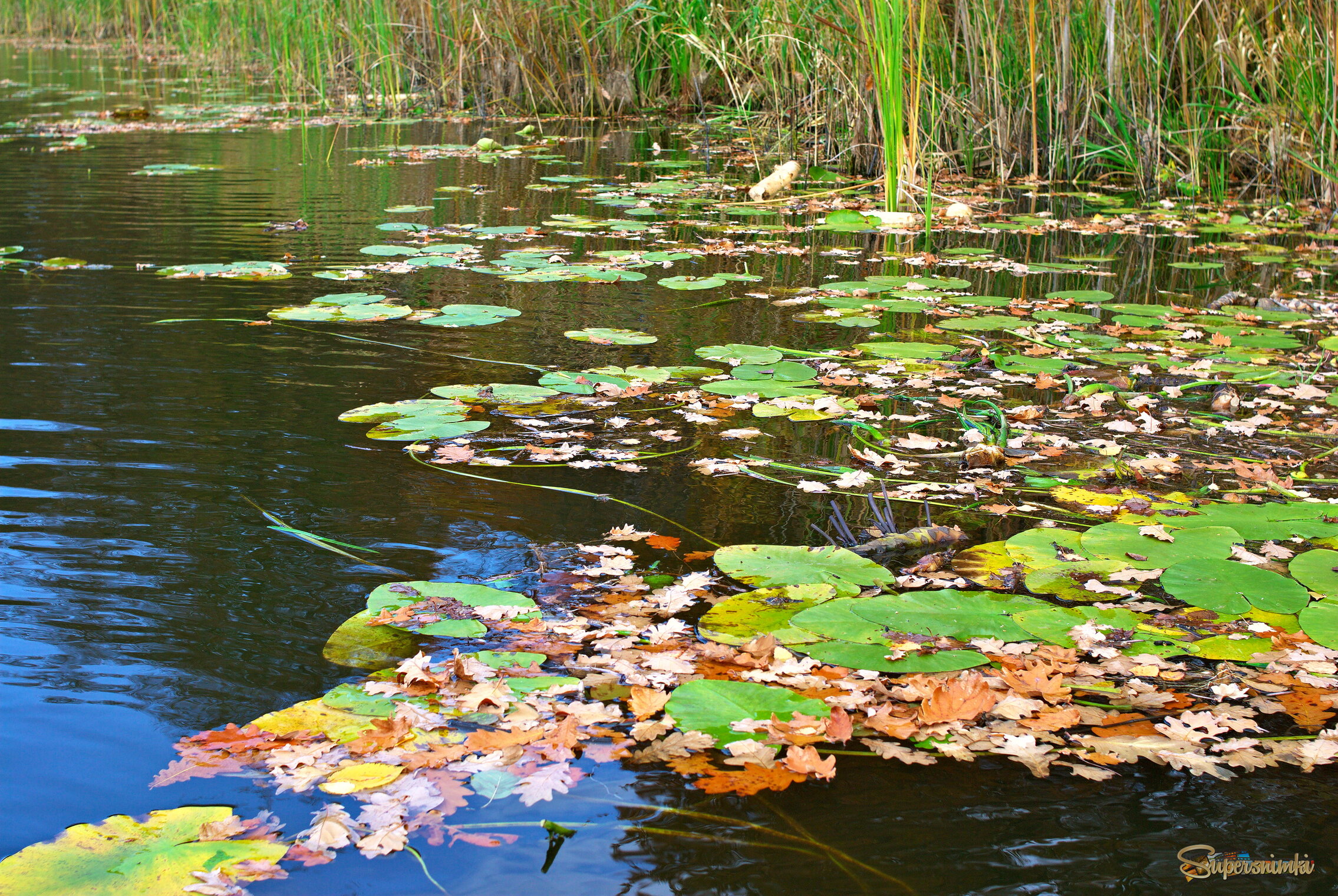 68f72cf98c0fd066d8594932