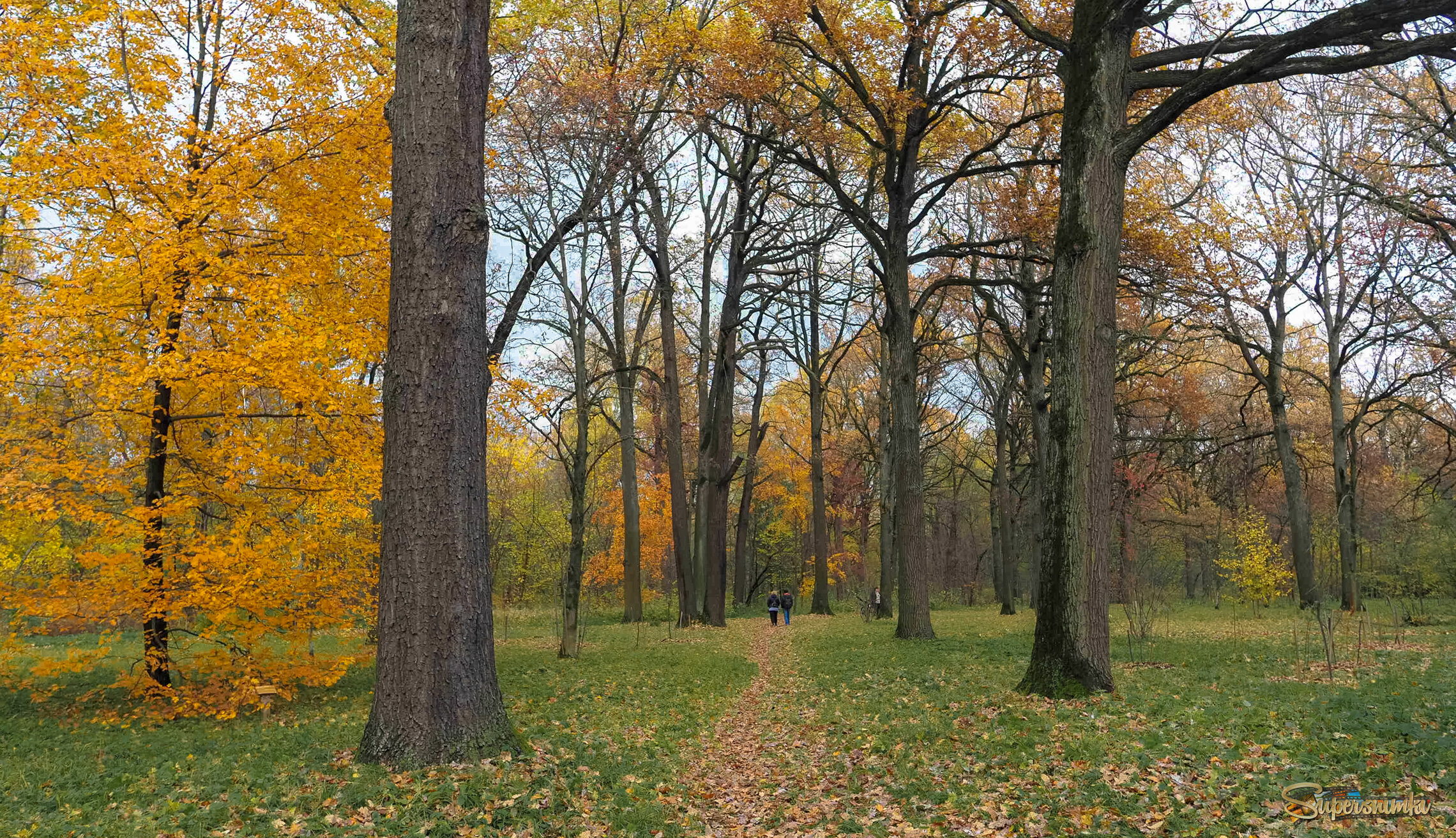 Осенний Сюжет