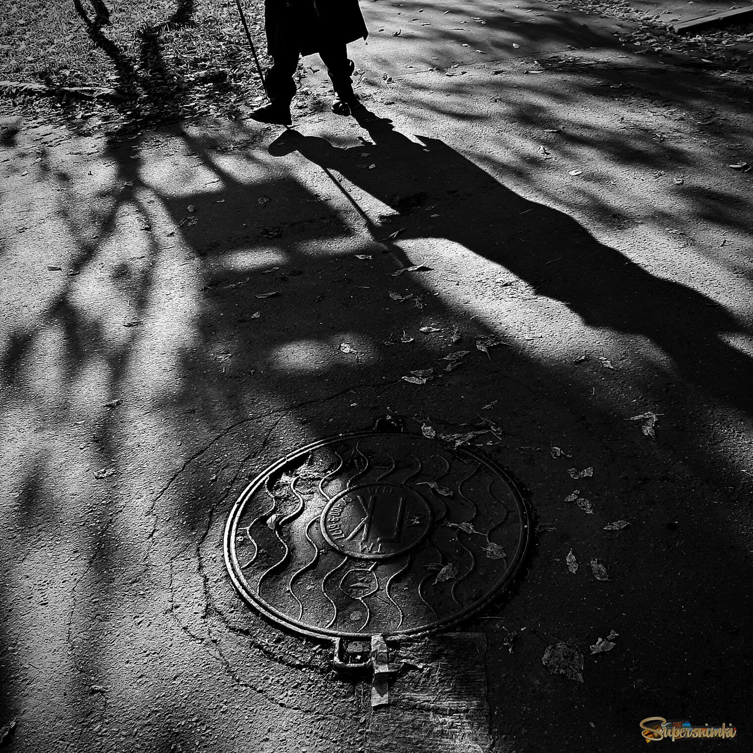 Осенние тени