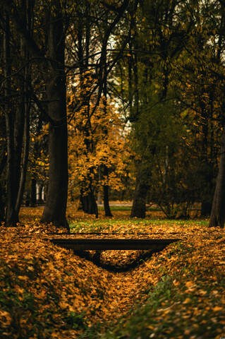 В парке 