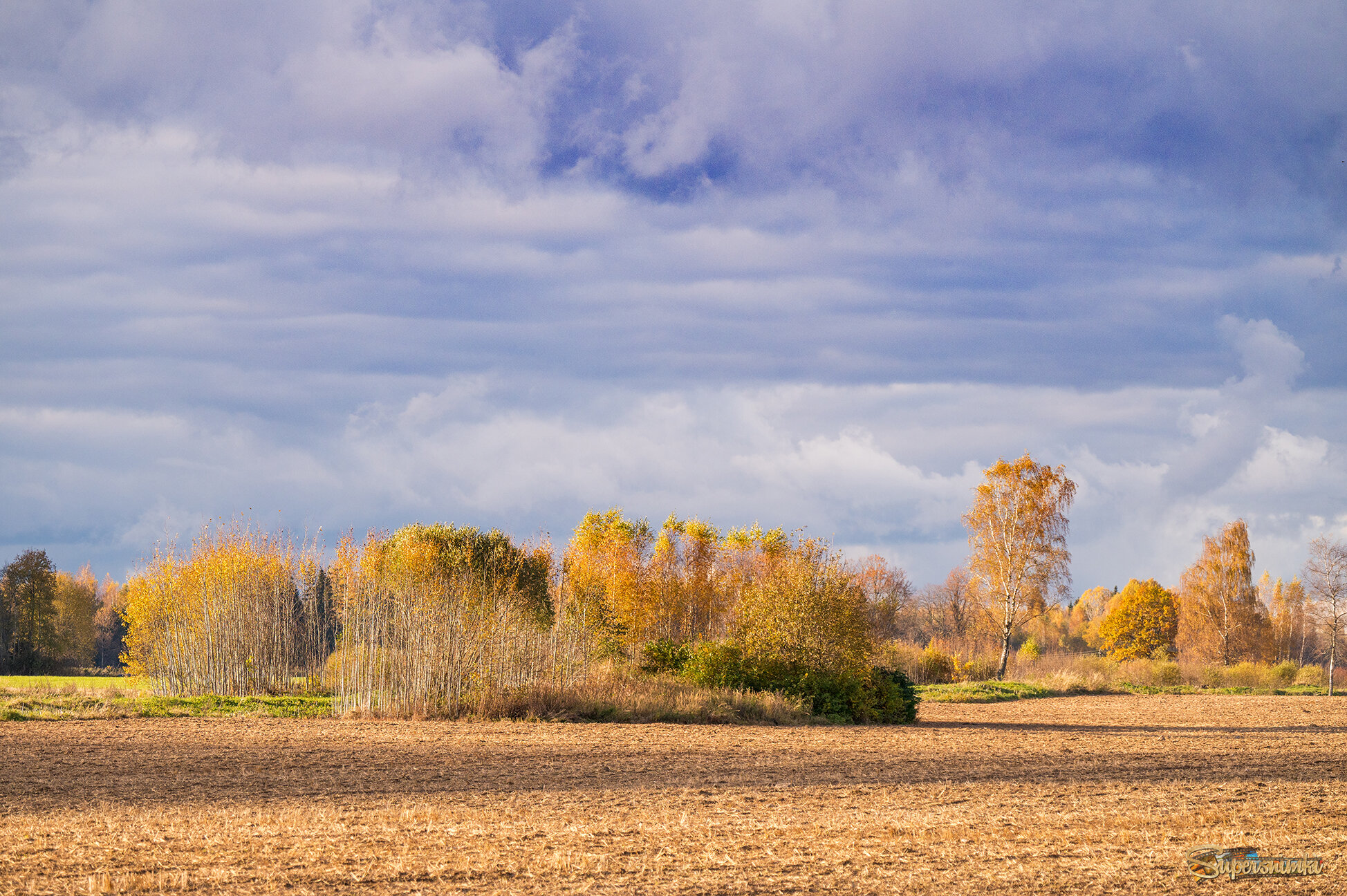 68f7220fe04877f674594935