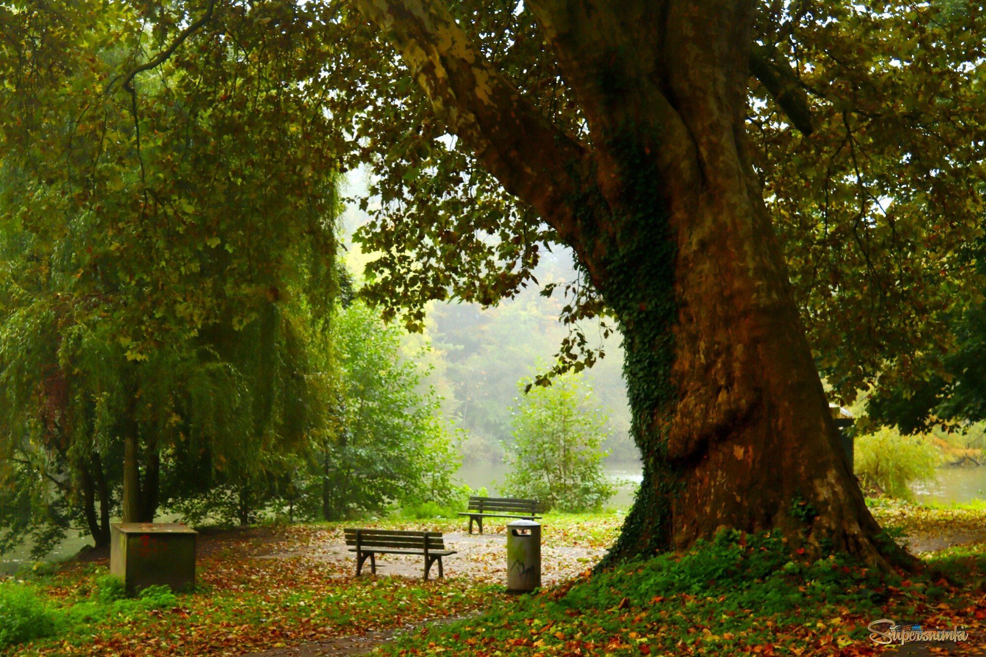 Осенний уголок