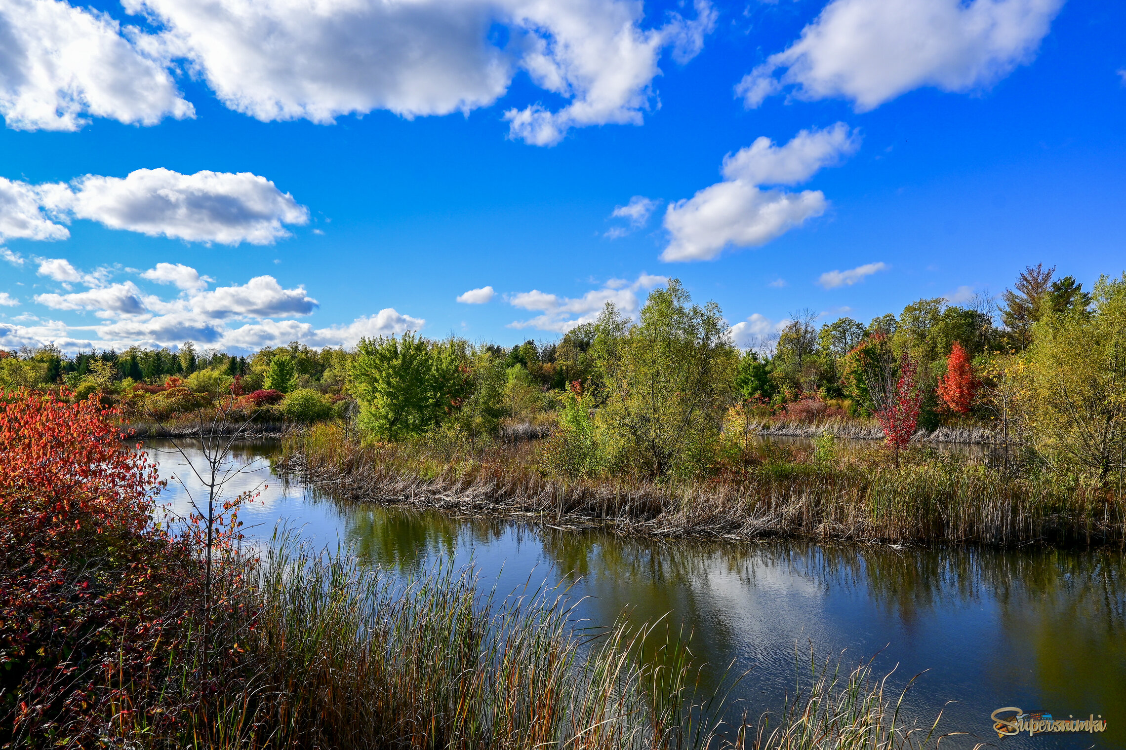Острова в океане