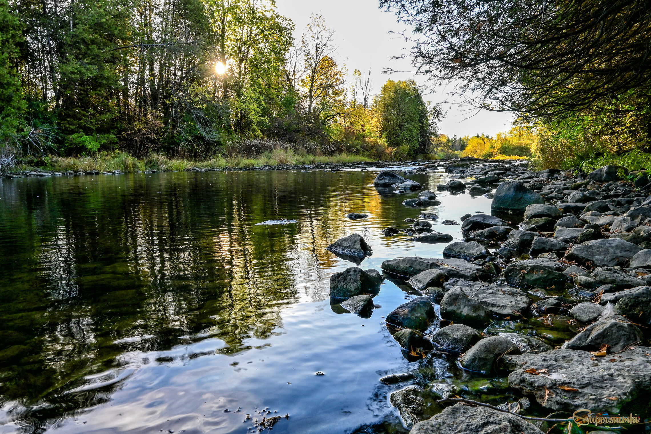 Созерцательность