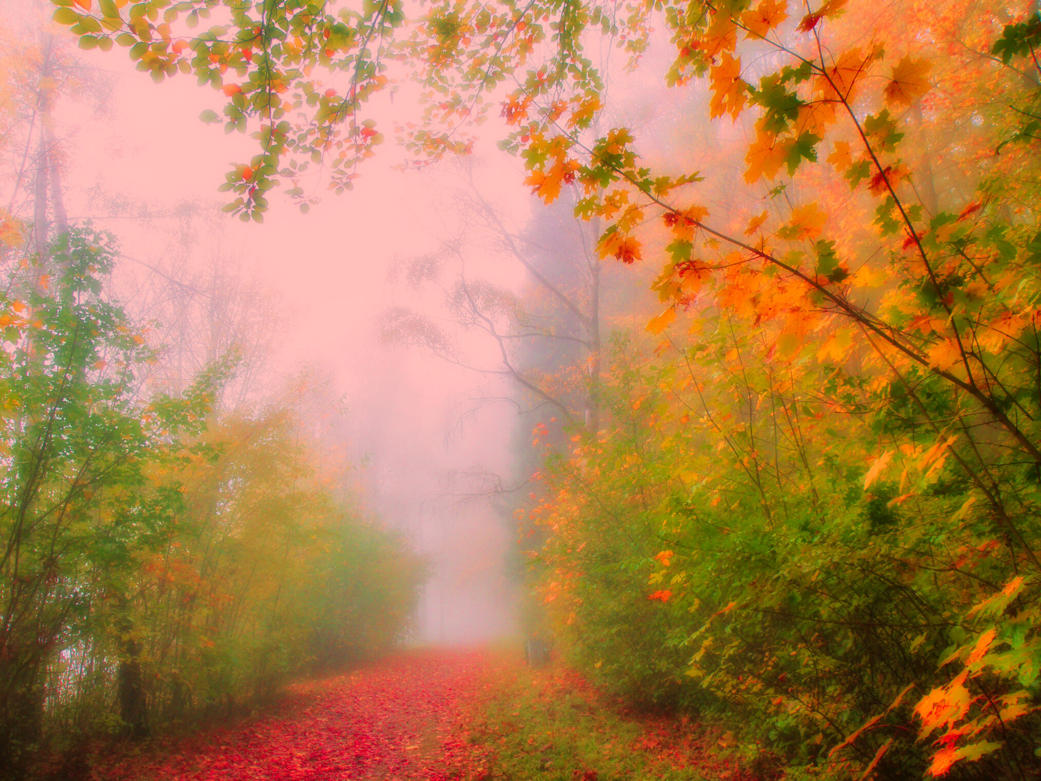 Цветные туманы.