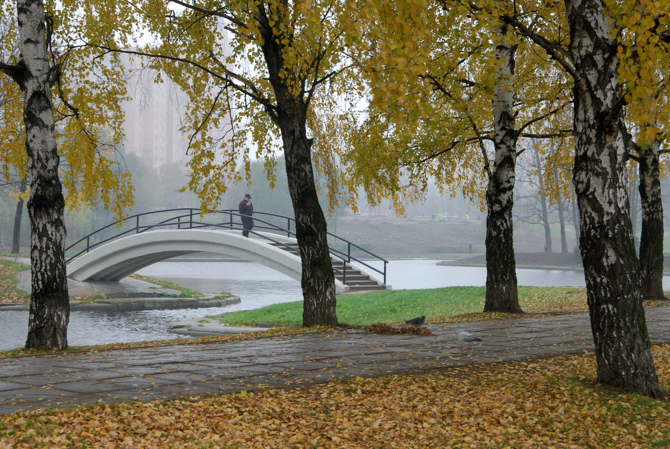 Осень в парке