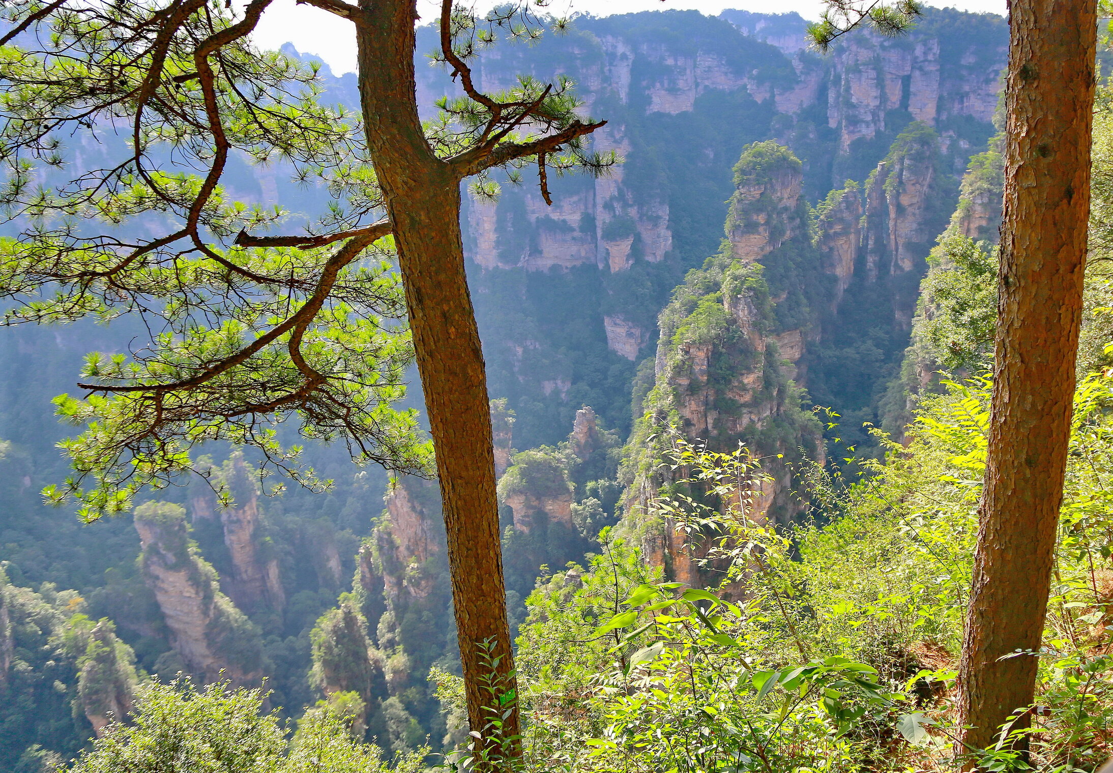 Скалы Аватар