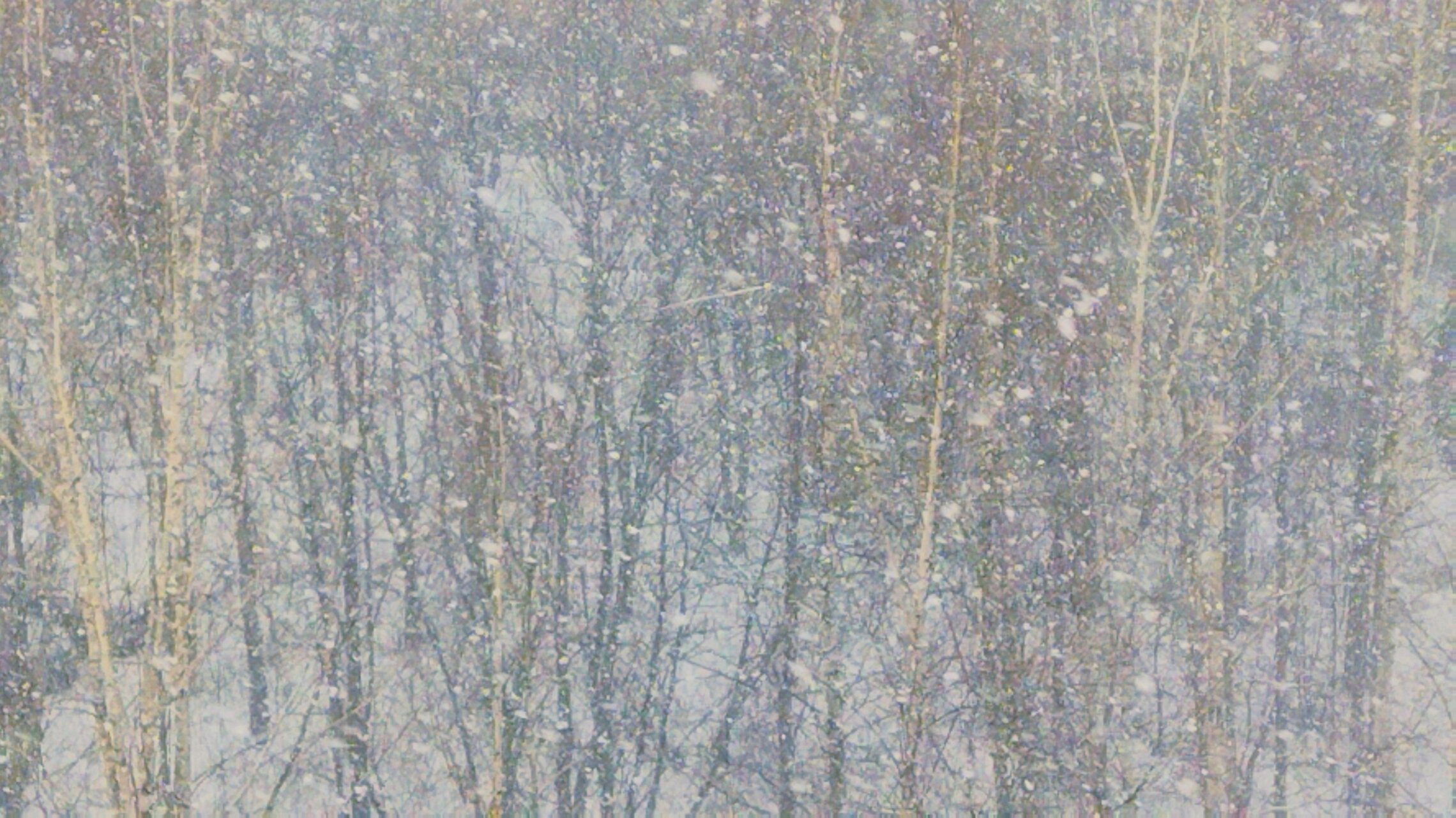 билет в хорошую погоду