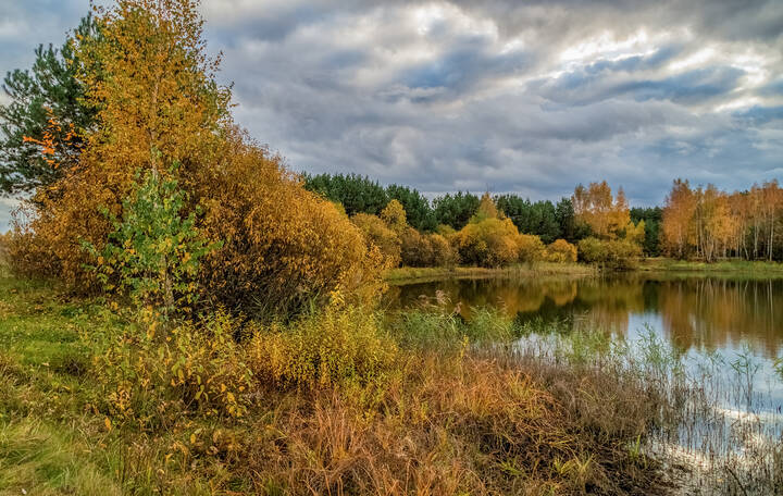И снова Осень 6