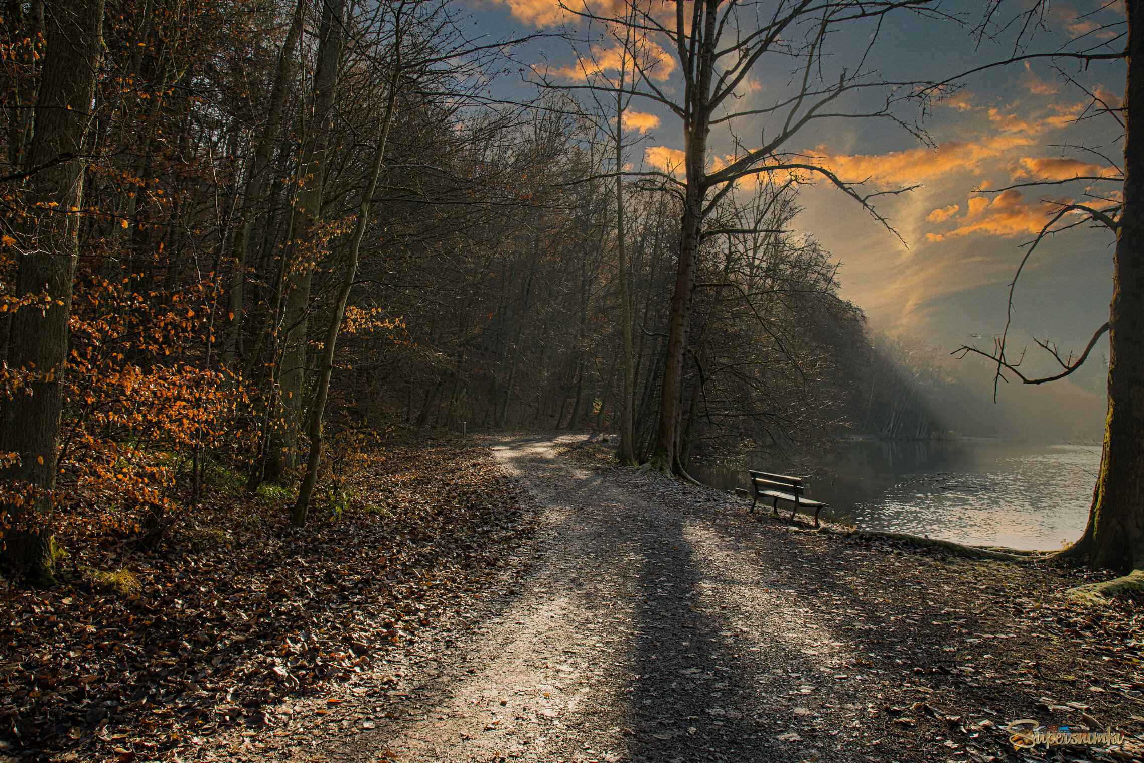 осенний лес..