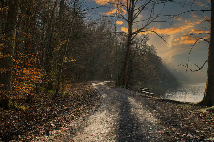 осенний лес..