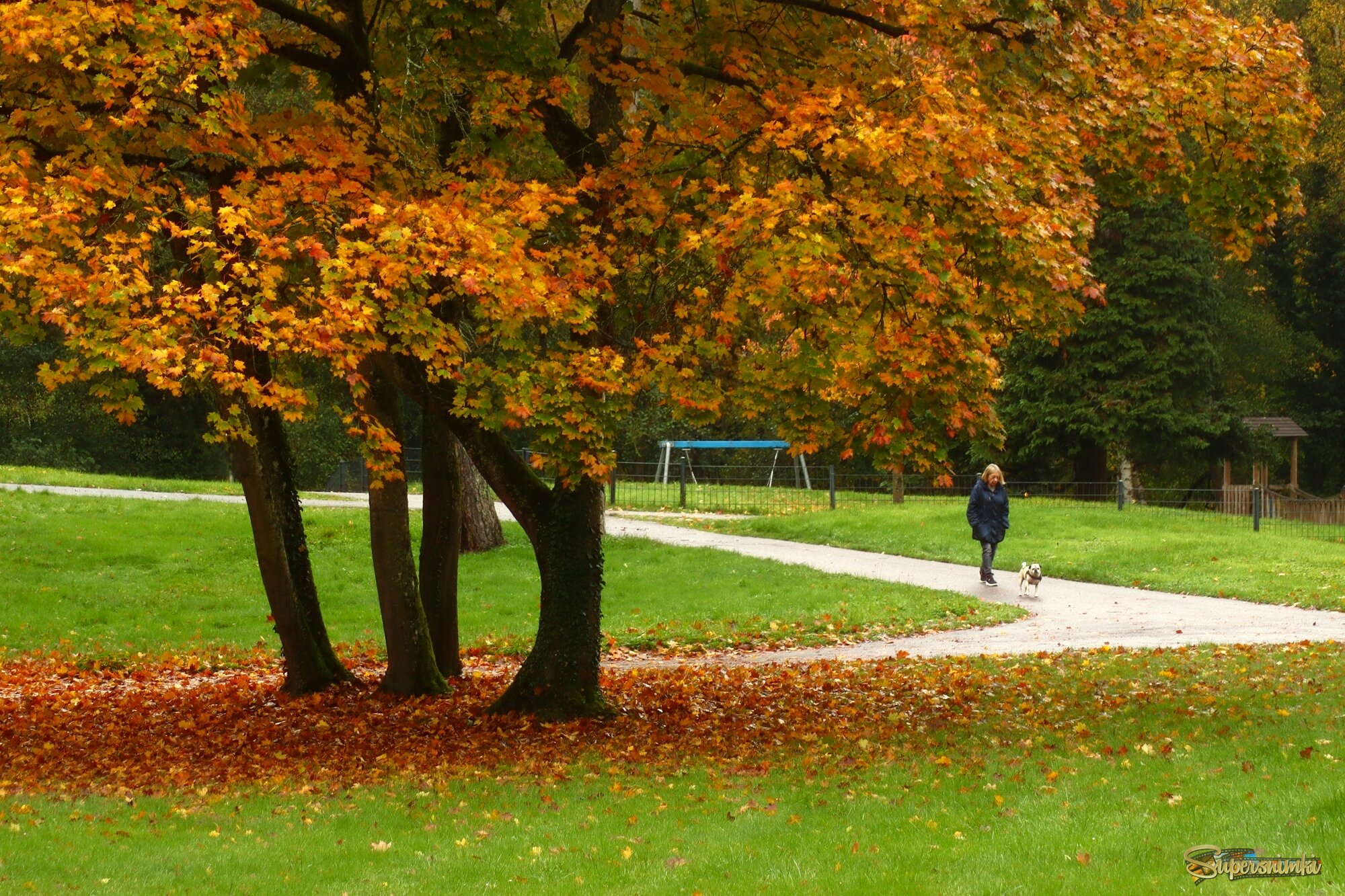  Прогулка в осень