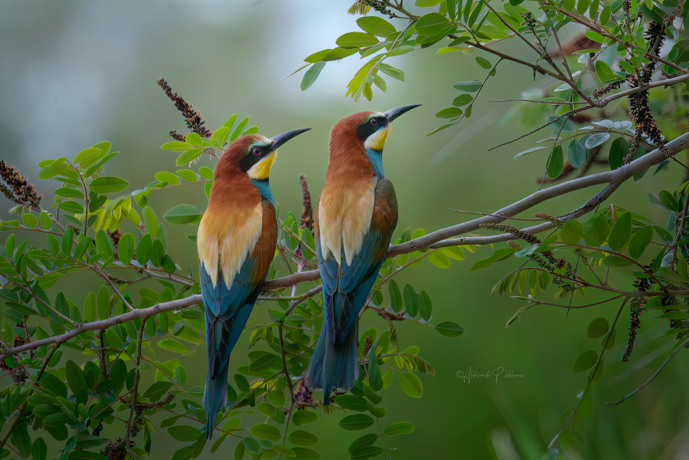 Прислушиваясь к тишине