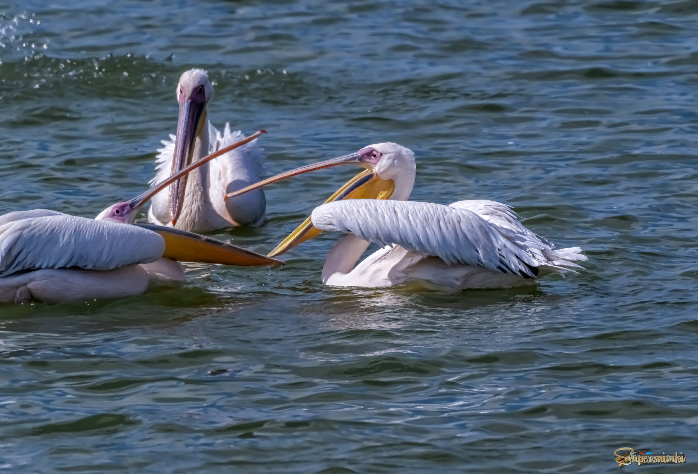 Всё как у людей...