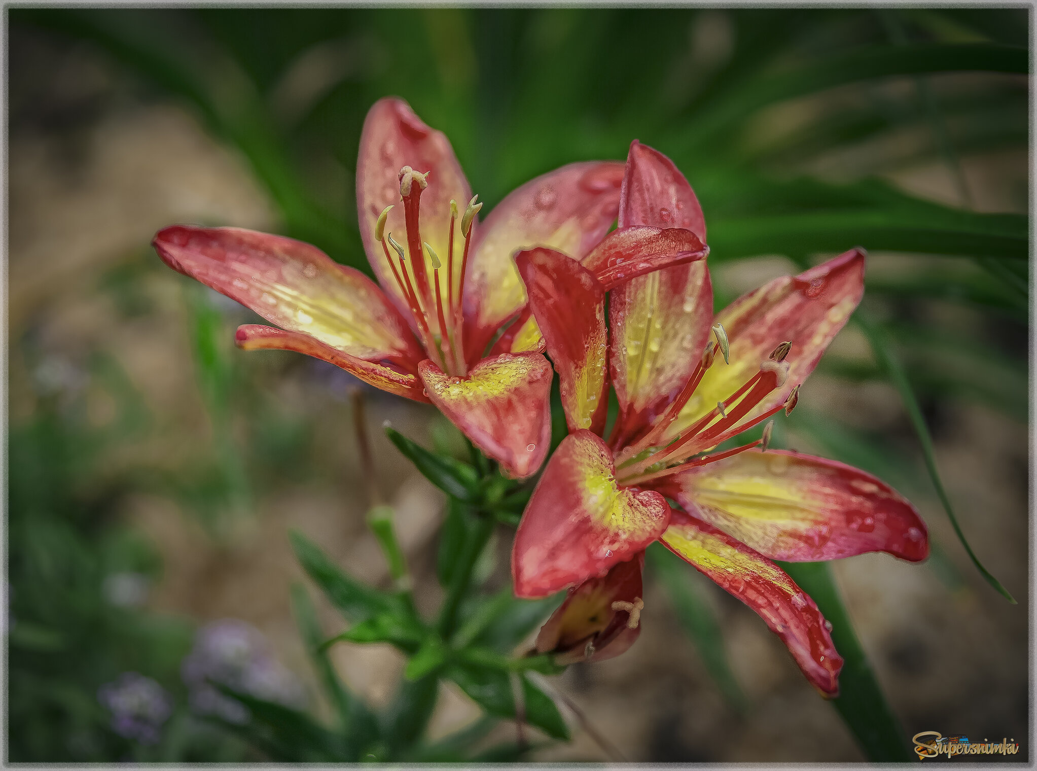 68fbe5befb91552ab0594937