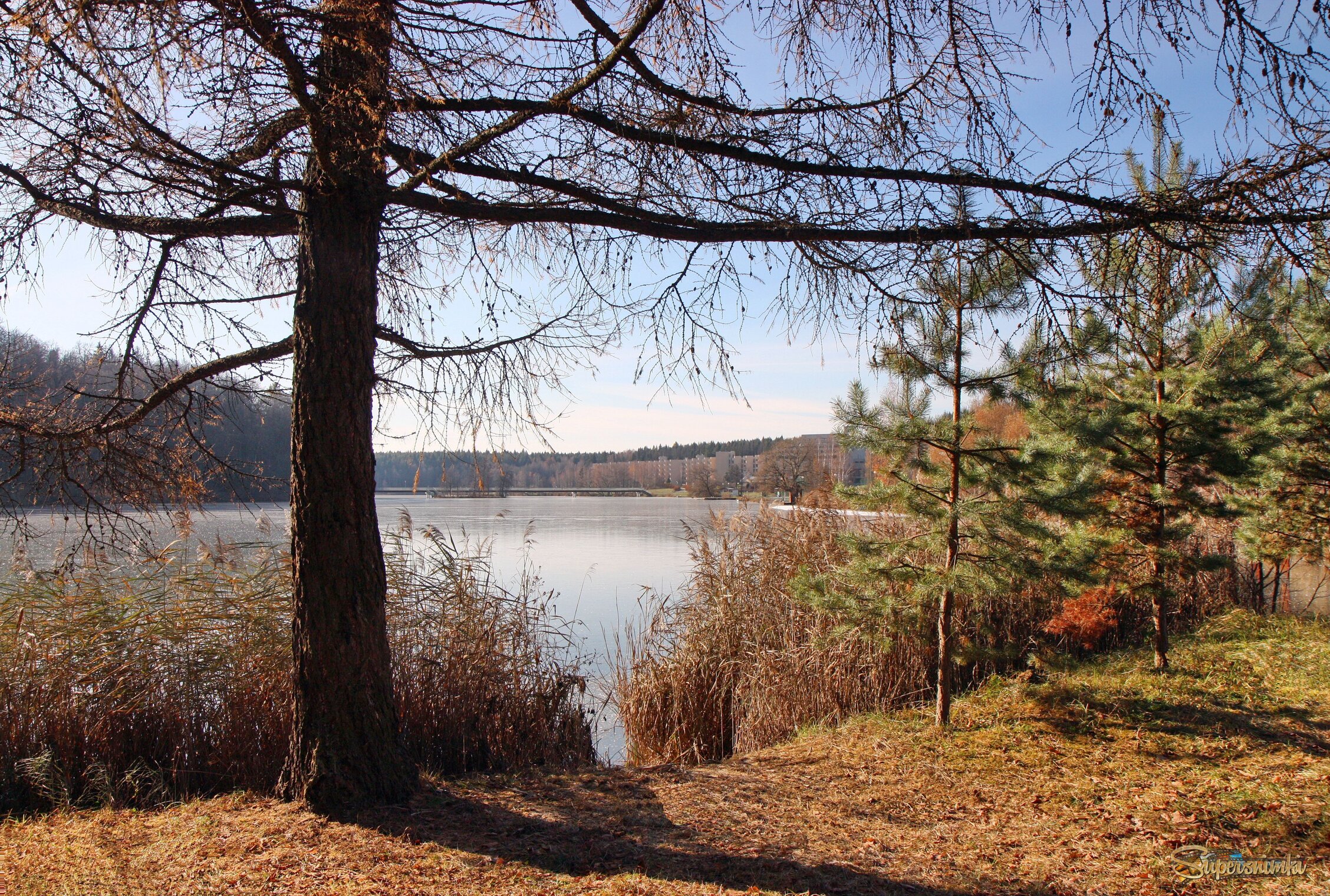 Осень в Вороново