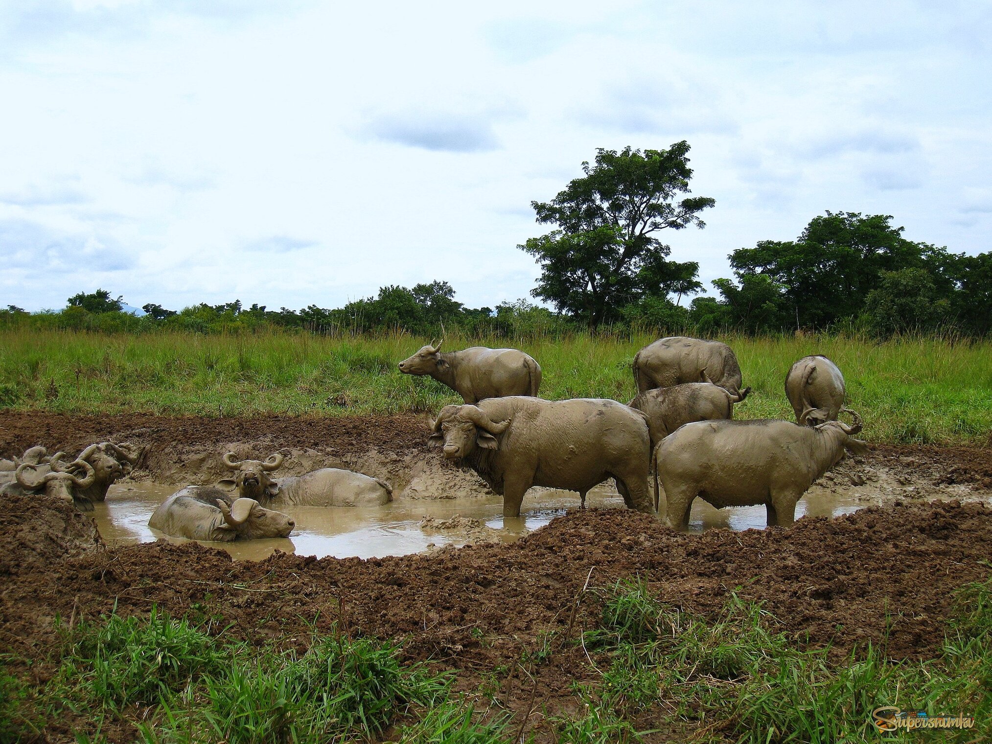 Африканские грязевые ванны, Уганда.