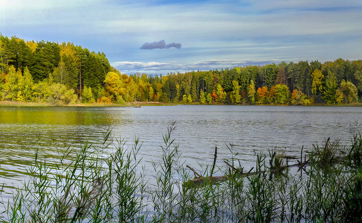 Осенний берег