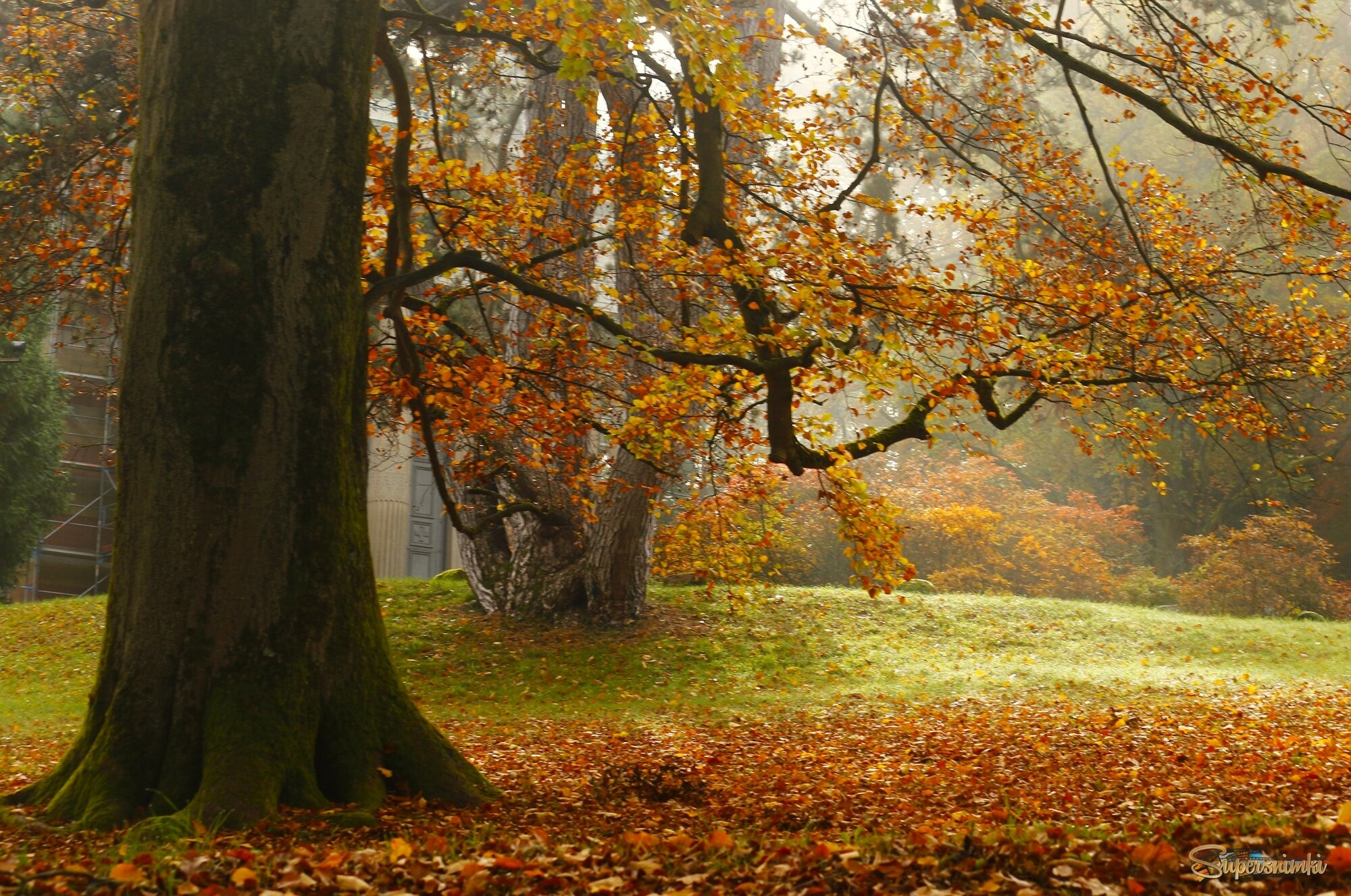 Осенние картинки
