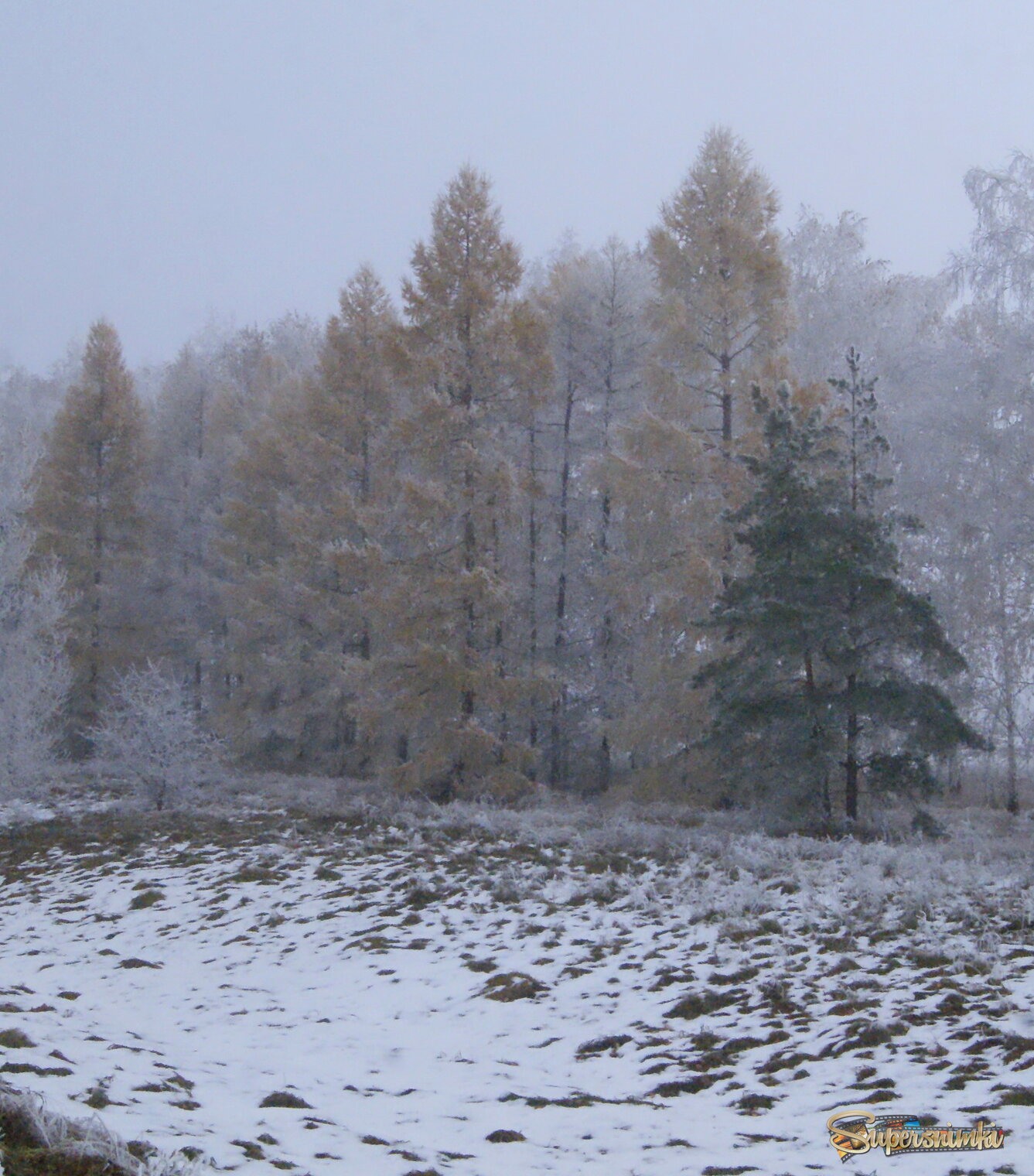 Туманный день.